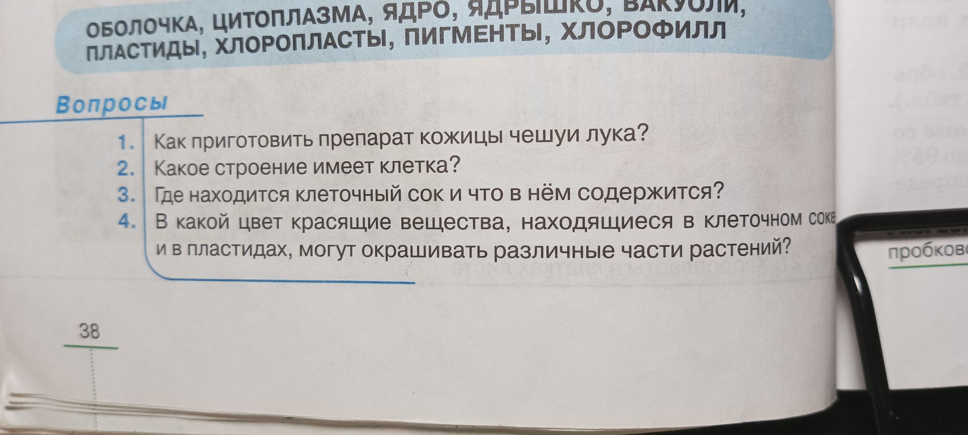 Фото задания: 2. Какое строение имеет клетка?