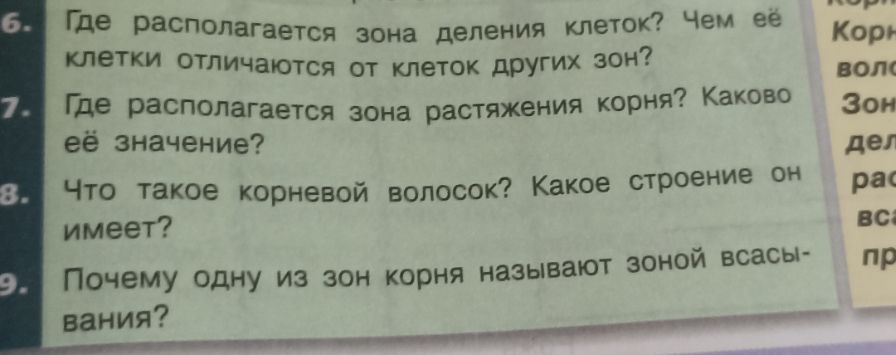 Фото задания: 8. Что такое корневой волосок? Какое строение он имеет?