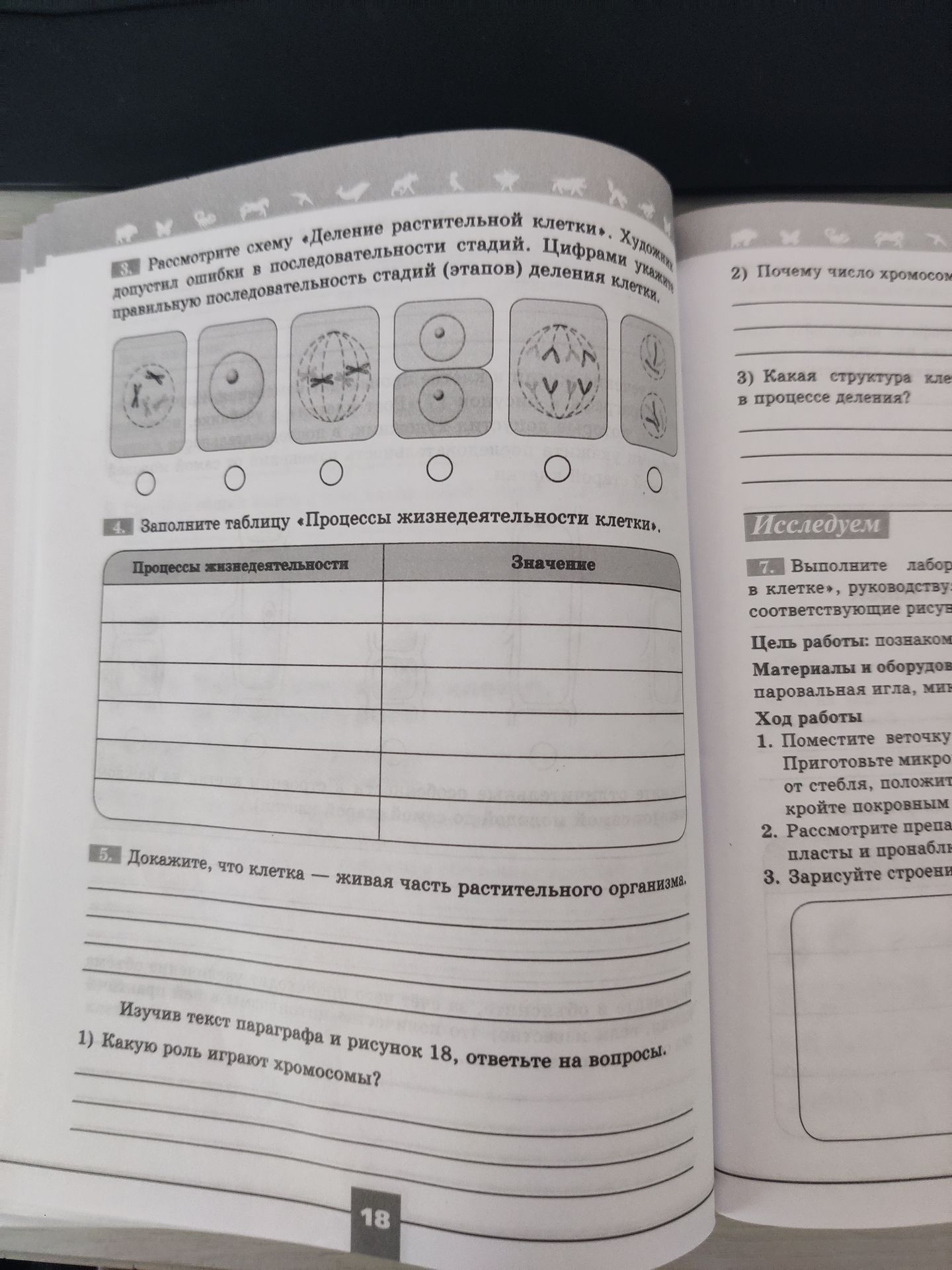 Фото задания: 1) Какую роль играют хромосомы?