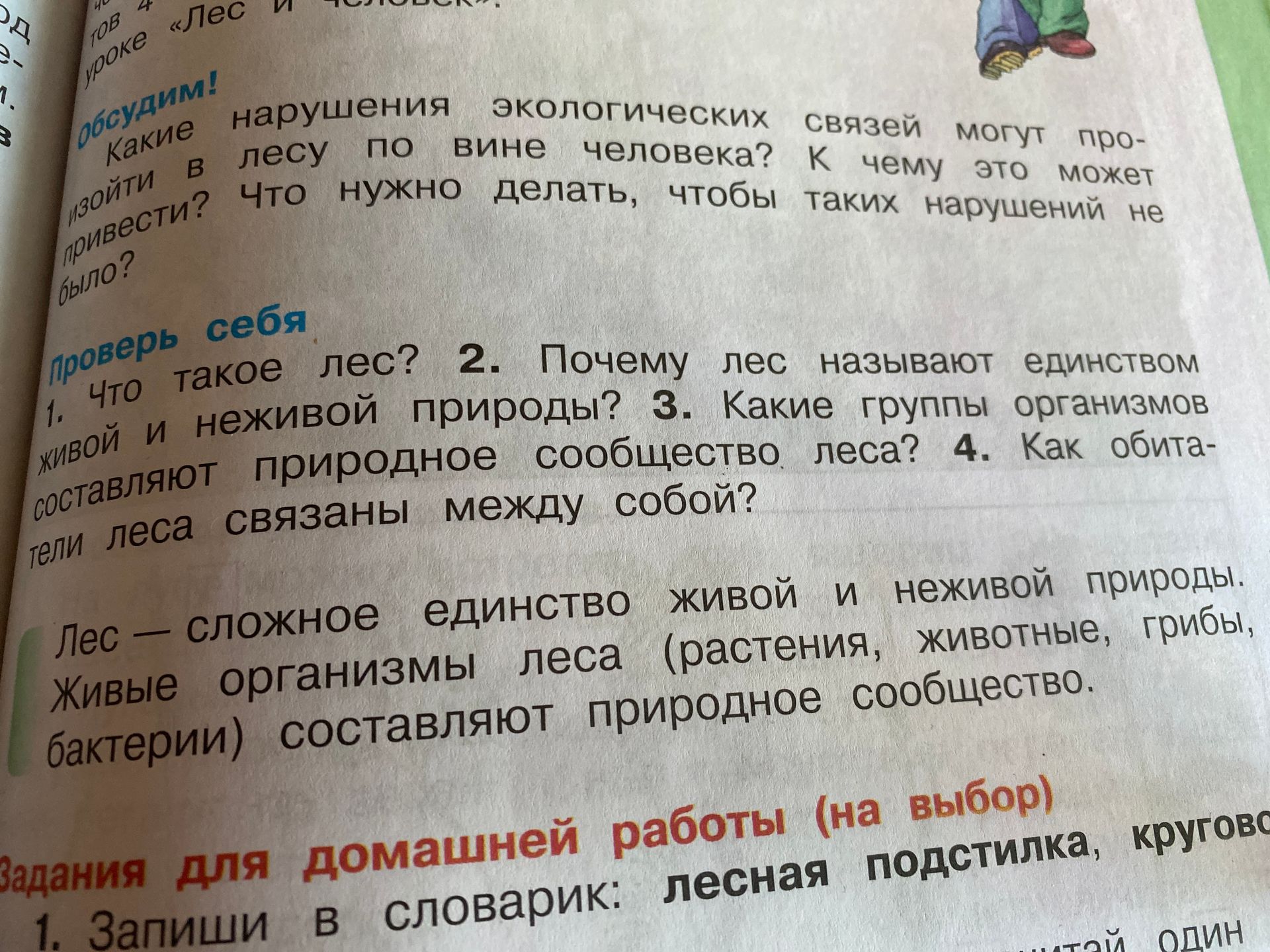 Фото задания: 1. Что такое лес?