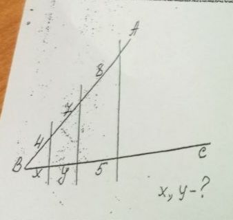 Фото задания: 4 B x 8 4 y 5 C x, y-?