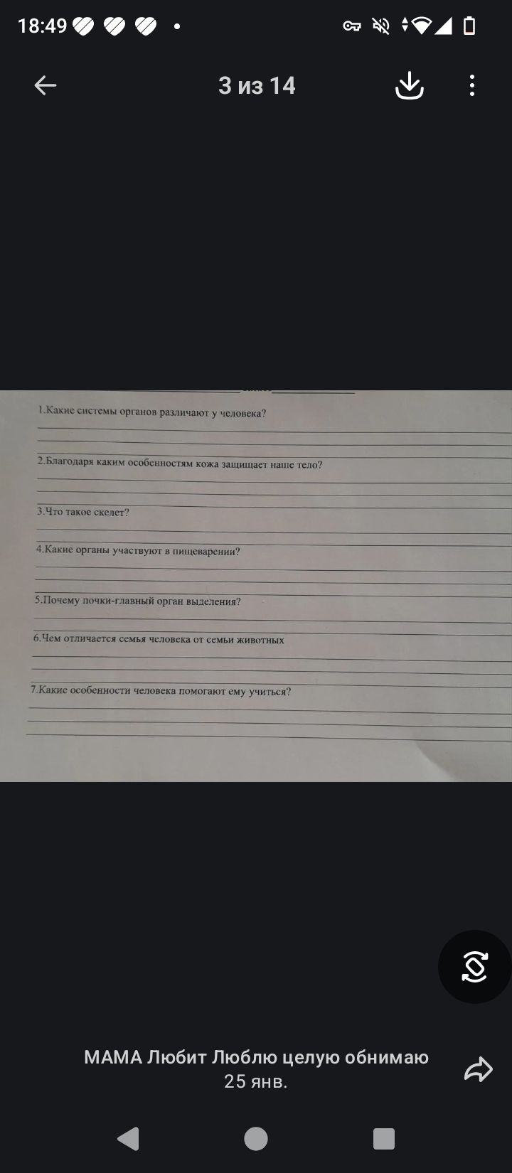 Фото задания: 3. Что такое скелет?