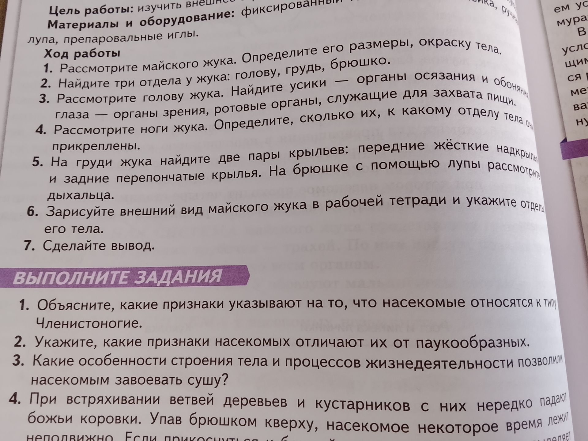 Фото задания: 3. Какие особенности строения тела и процессов жизнедеятельности позволили насекомым завоевать сушу?