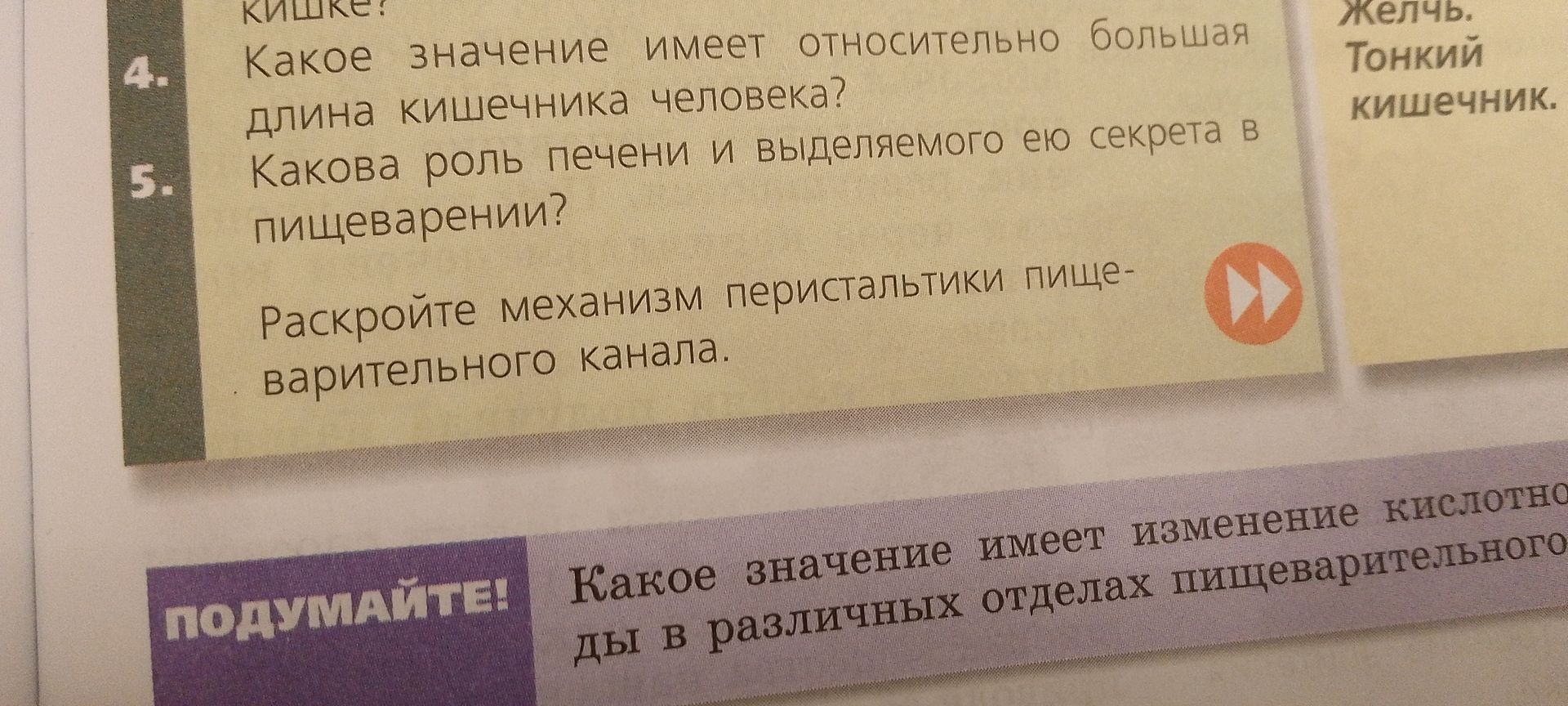 Фото задания: 5. Какова роль печени и выделяемого ею секрета в пищеварении?
