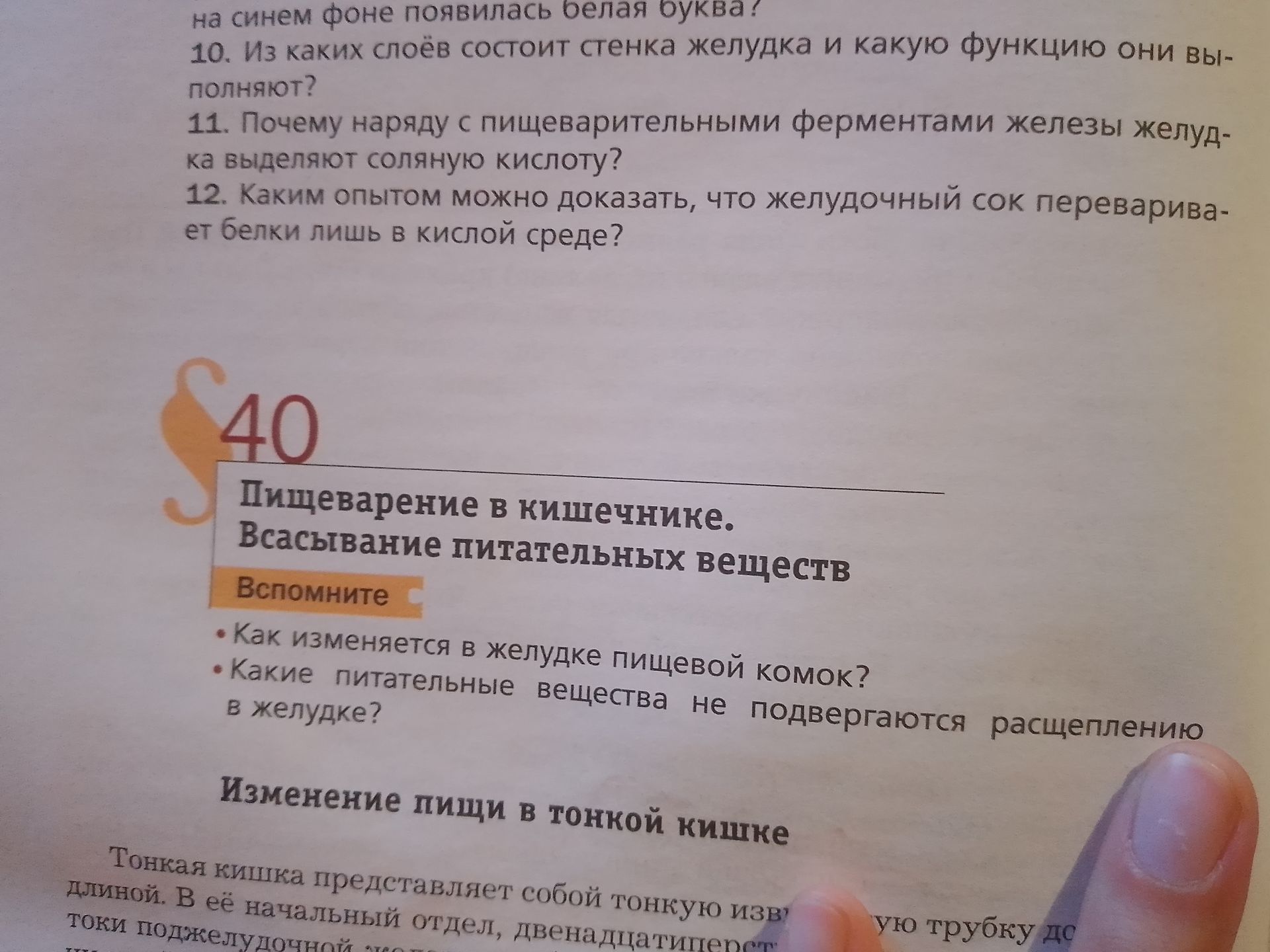 Фото задания: Как изменяется в желудке пищевой комок?