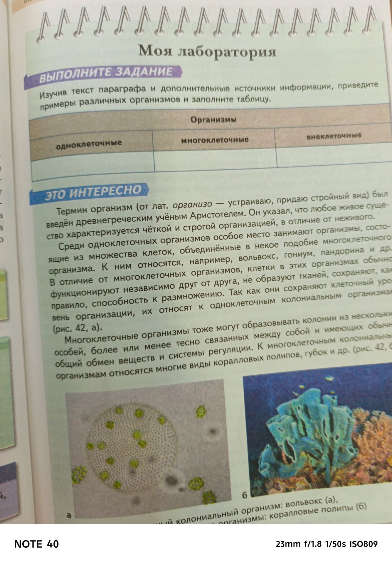 Фото задания: Изучив текст параграфа и дополнительные источники информации, приведите примеры различных организмов и заполните таблицу.