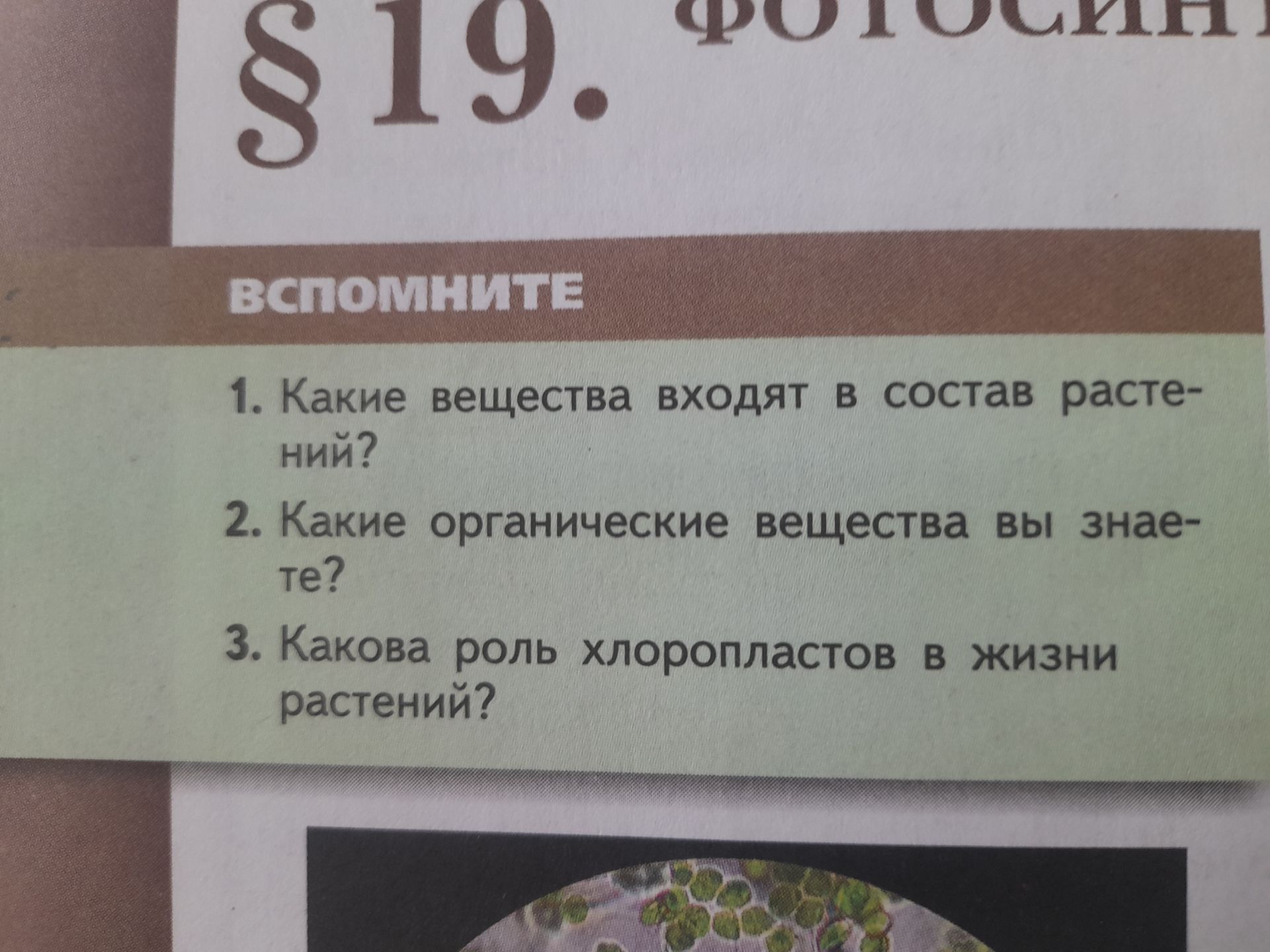 Фото задания: 1. Какие вещества входят в состав растений?