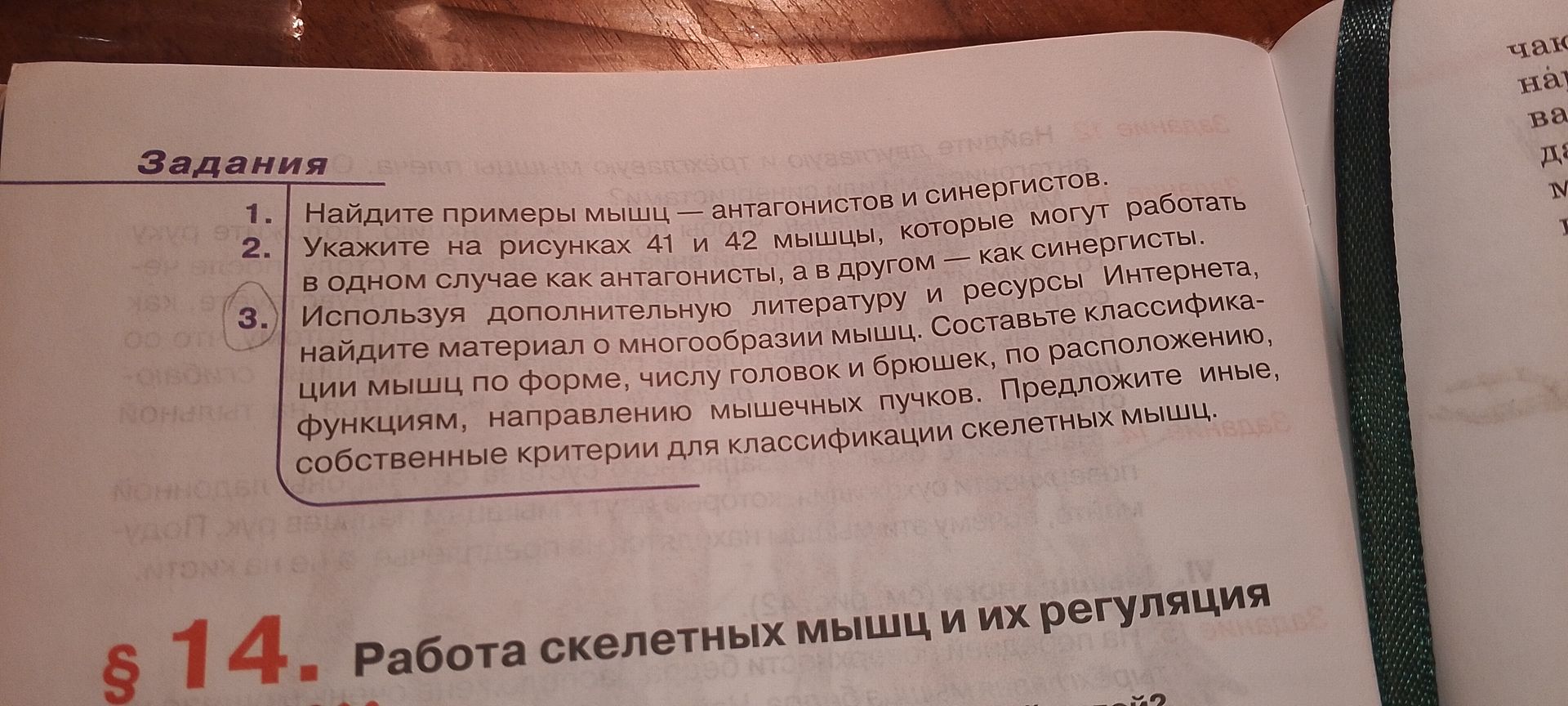 Фото задания: Используя дополнительную литературу и ресурсы Интернета, найдите материал о многообразии мышц. Составьте классификации мышц…