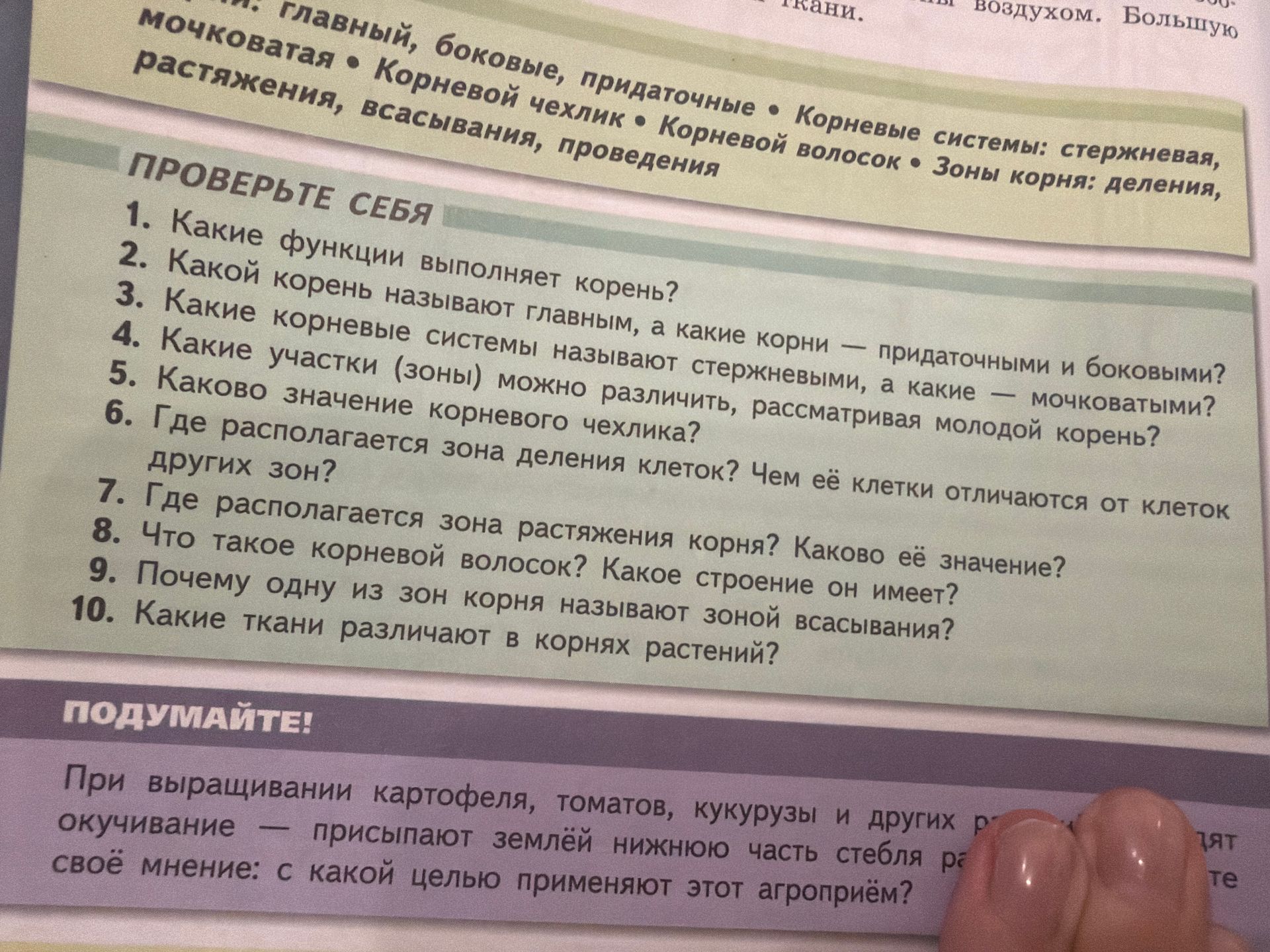 Фото задания: 10. Какие ткани различают в корнях растений?