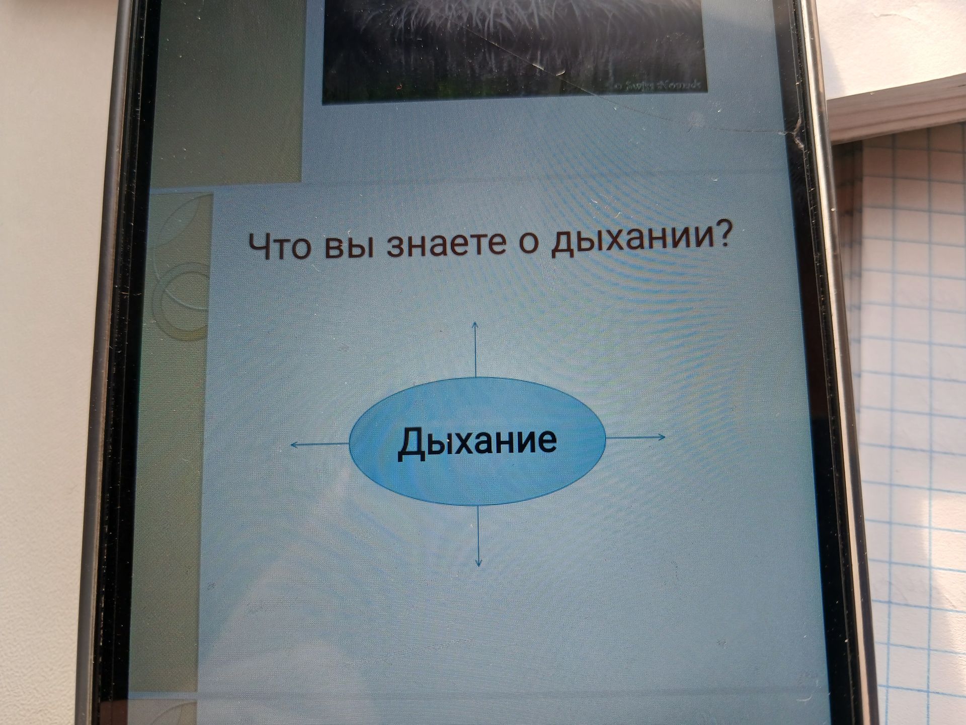 Фото задания: Что вы знаете о дыхании?
