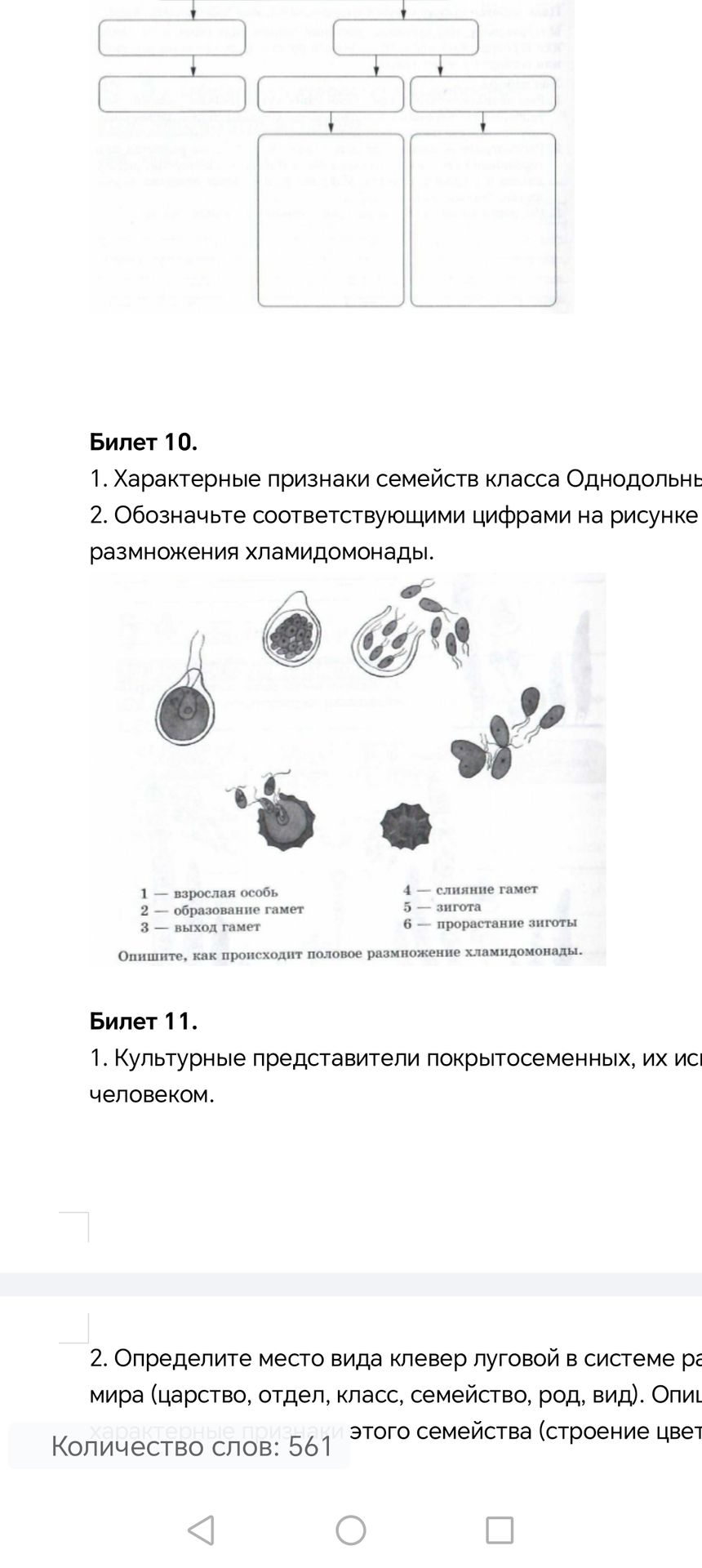 Фото задания: Опишите, как происходит половое размножение хламидомонады.
