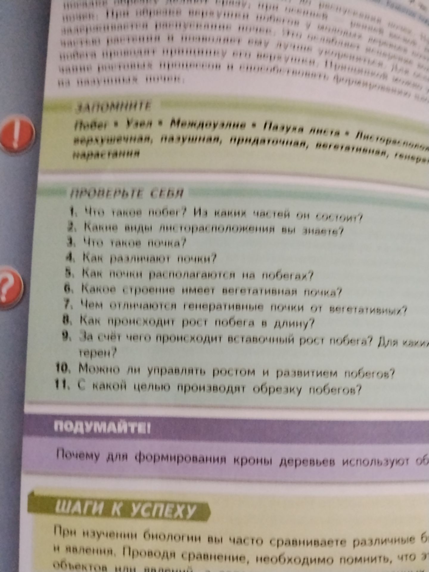 Фото задания: 11. С какой целью производят обрезку побегов?