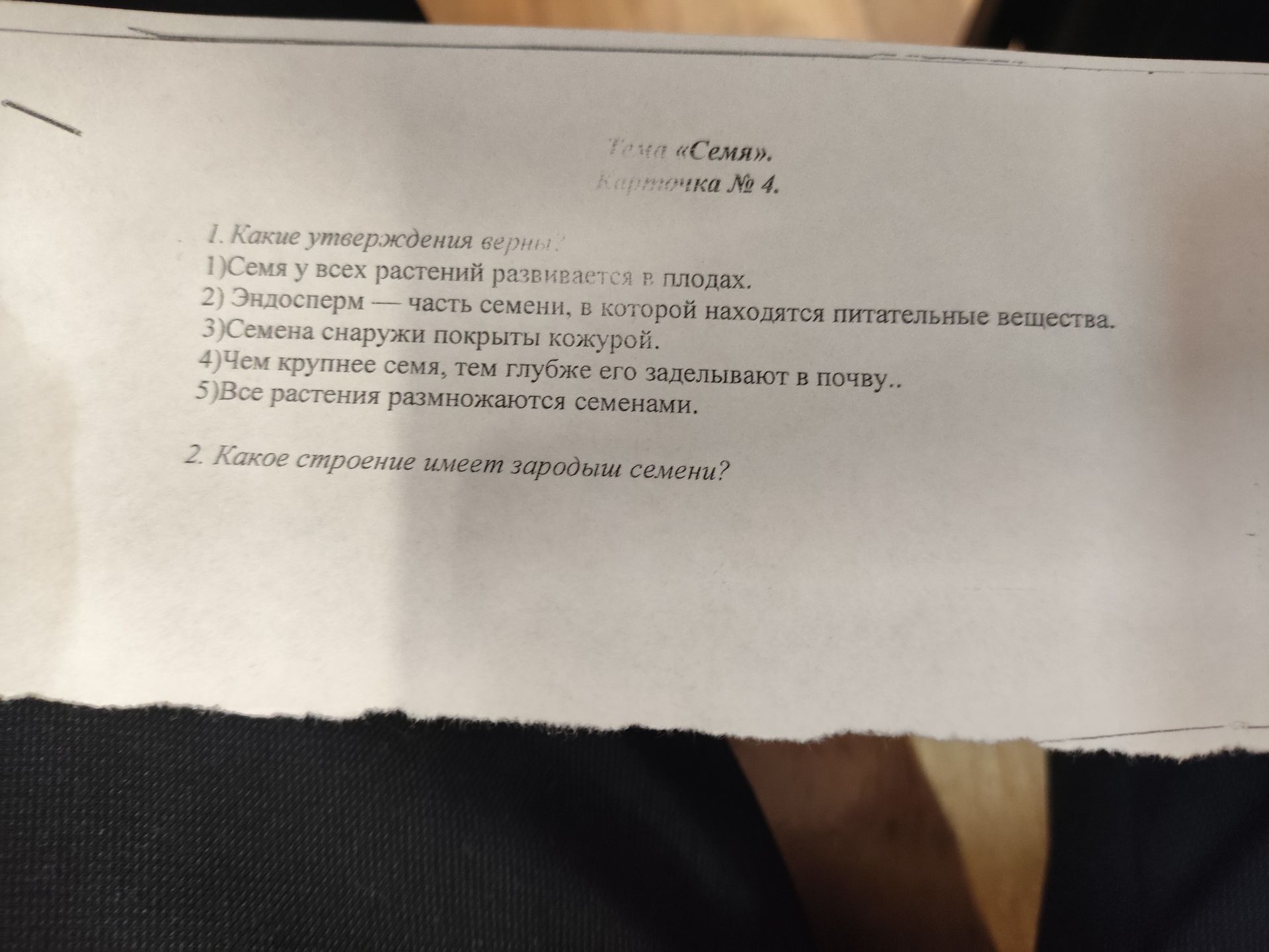 Фото задания: Какое строение имеет зародыш семени?