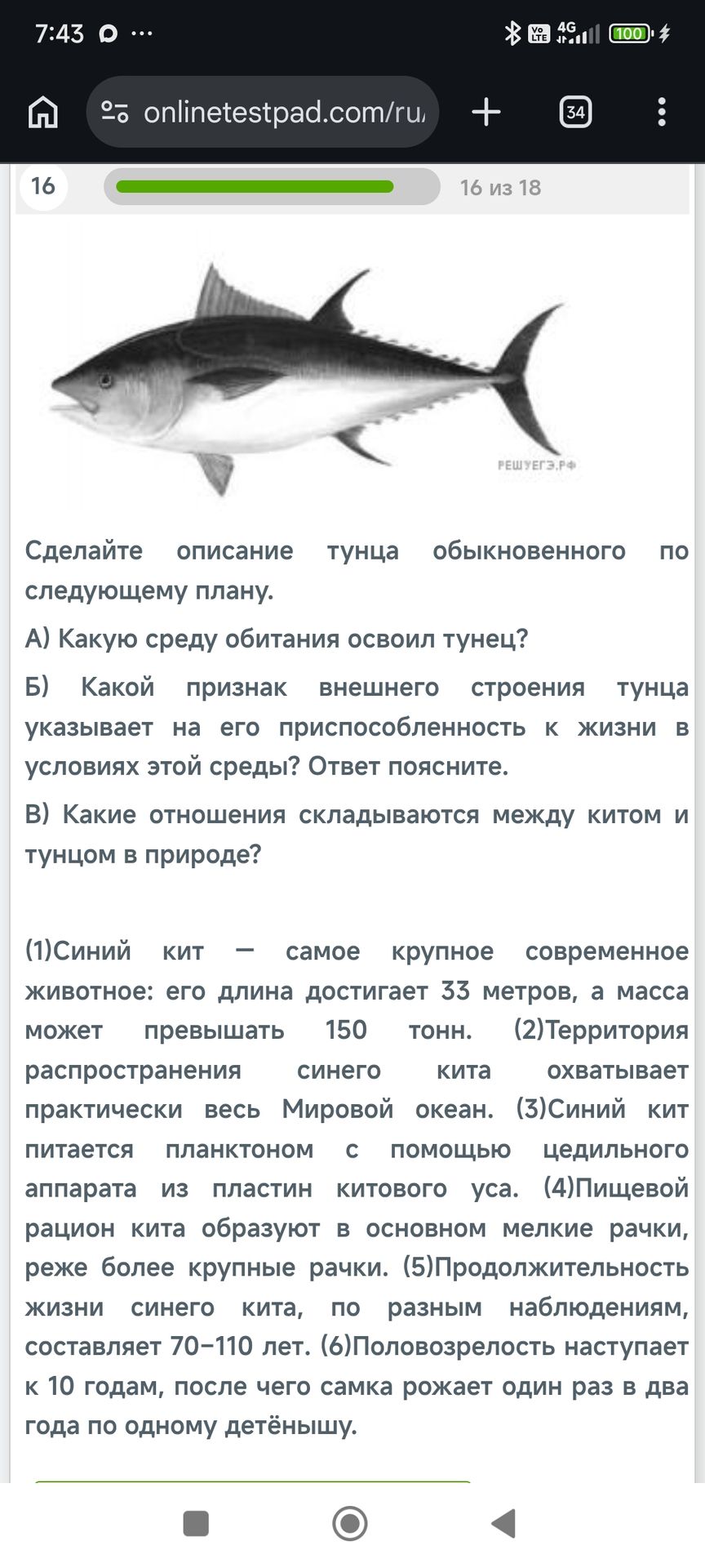 Фото задания