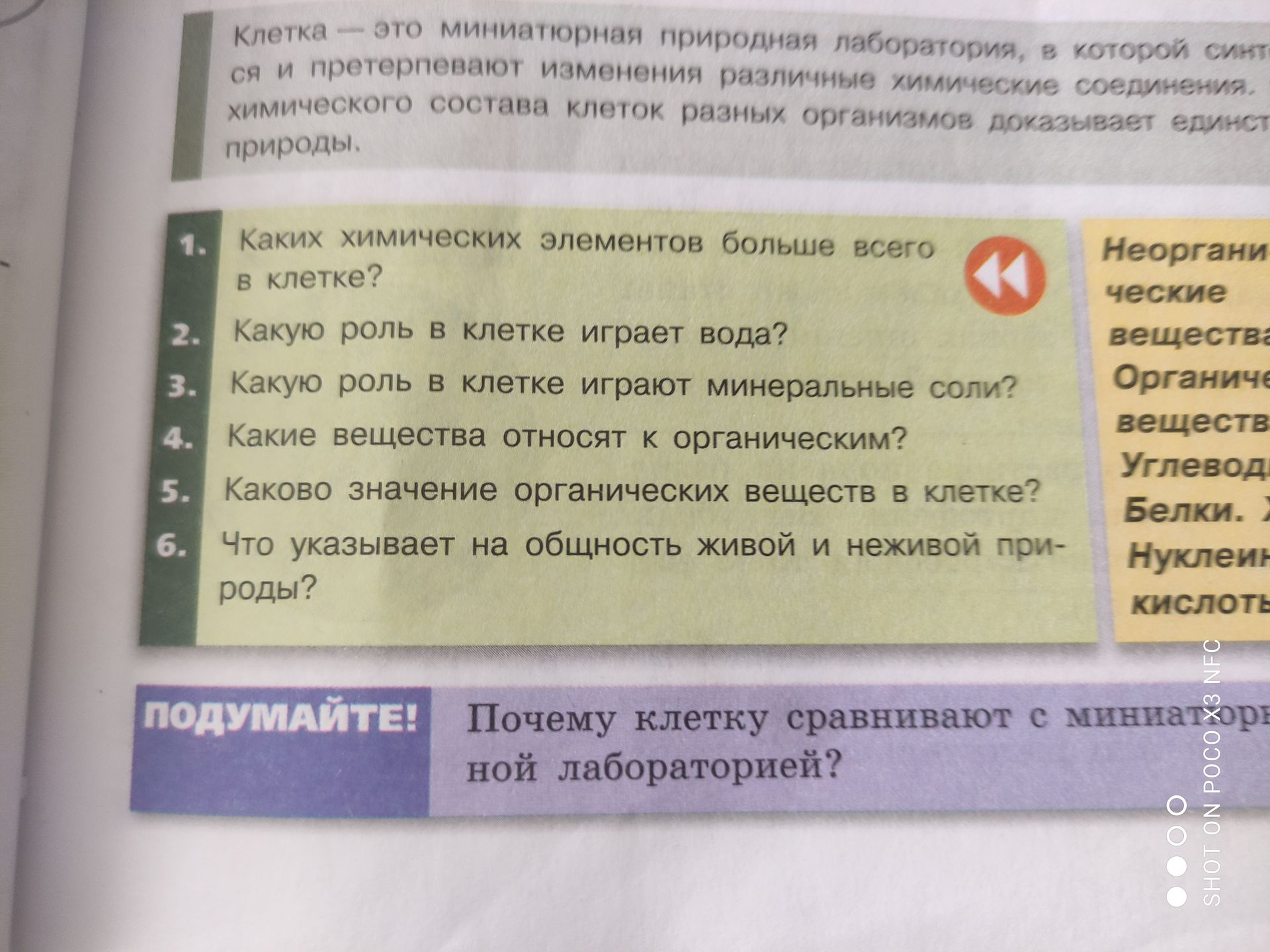 Фото задания: Какую роль в клетке играет вода?