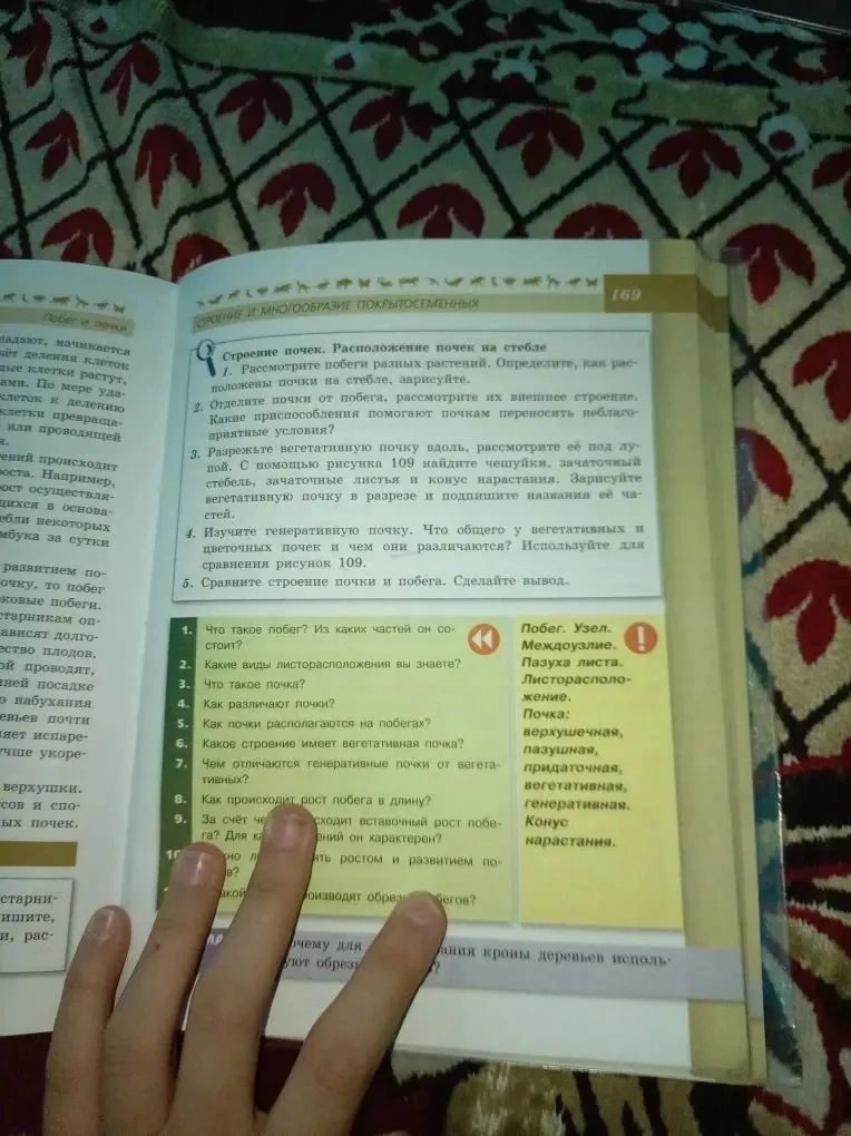 Фото задания: Как происходит рост побега в длину?