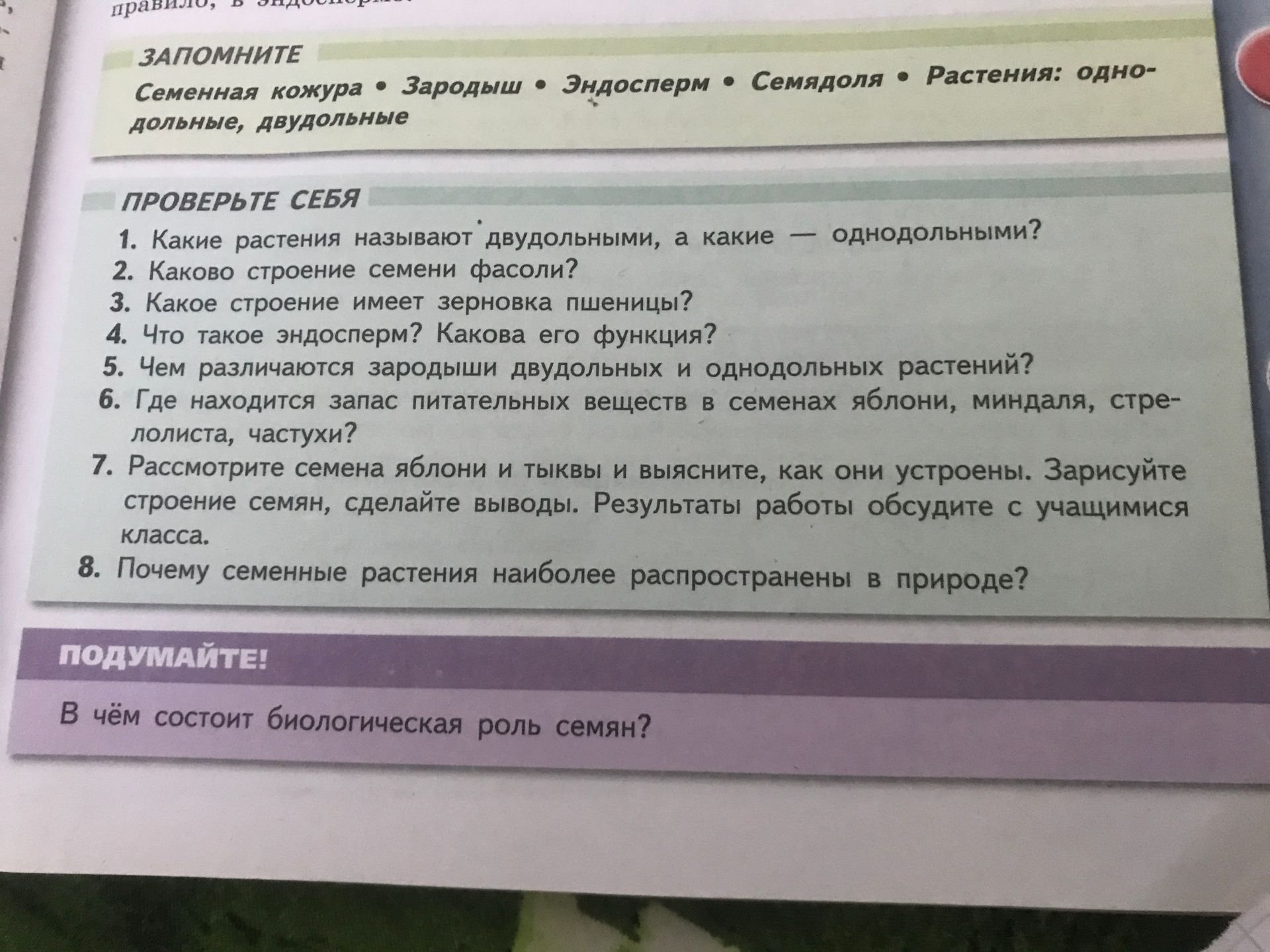 Фото задания: Что такое эндосперм? Какова его функция?