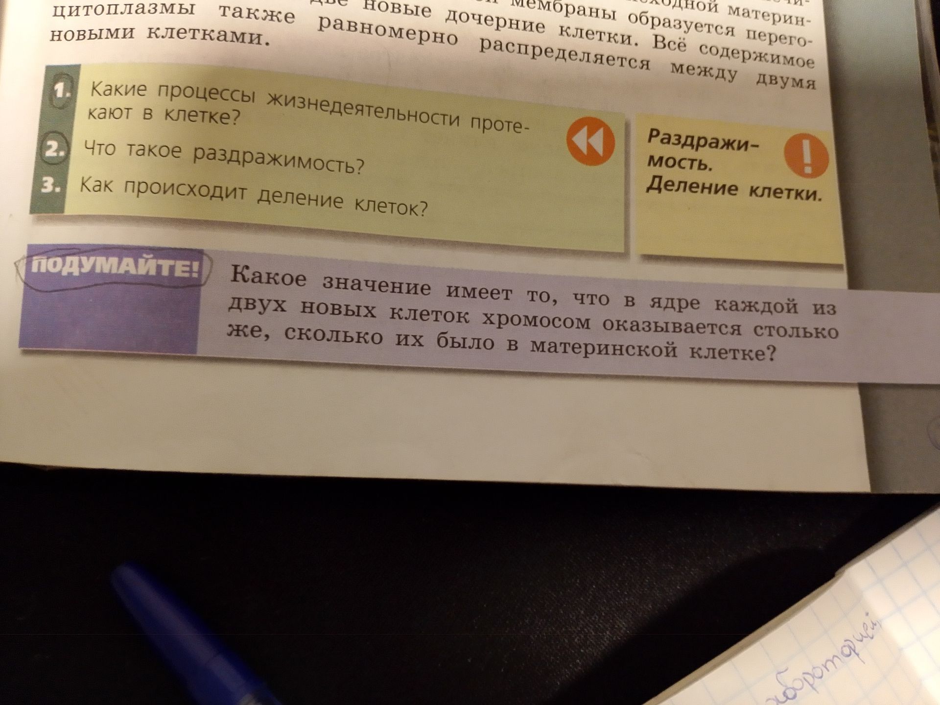 Фото задания: Как происходит деление клеток?