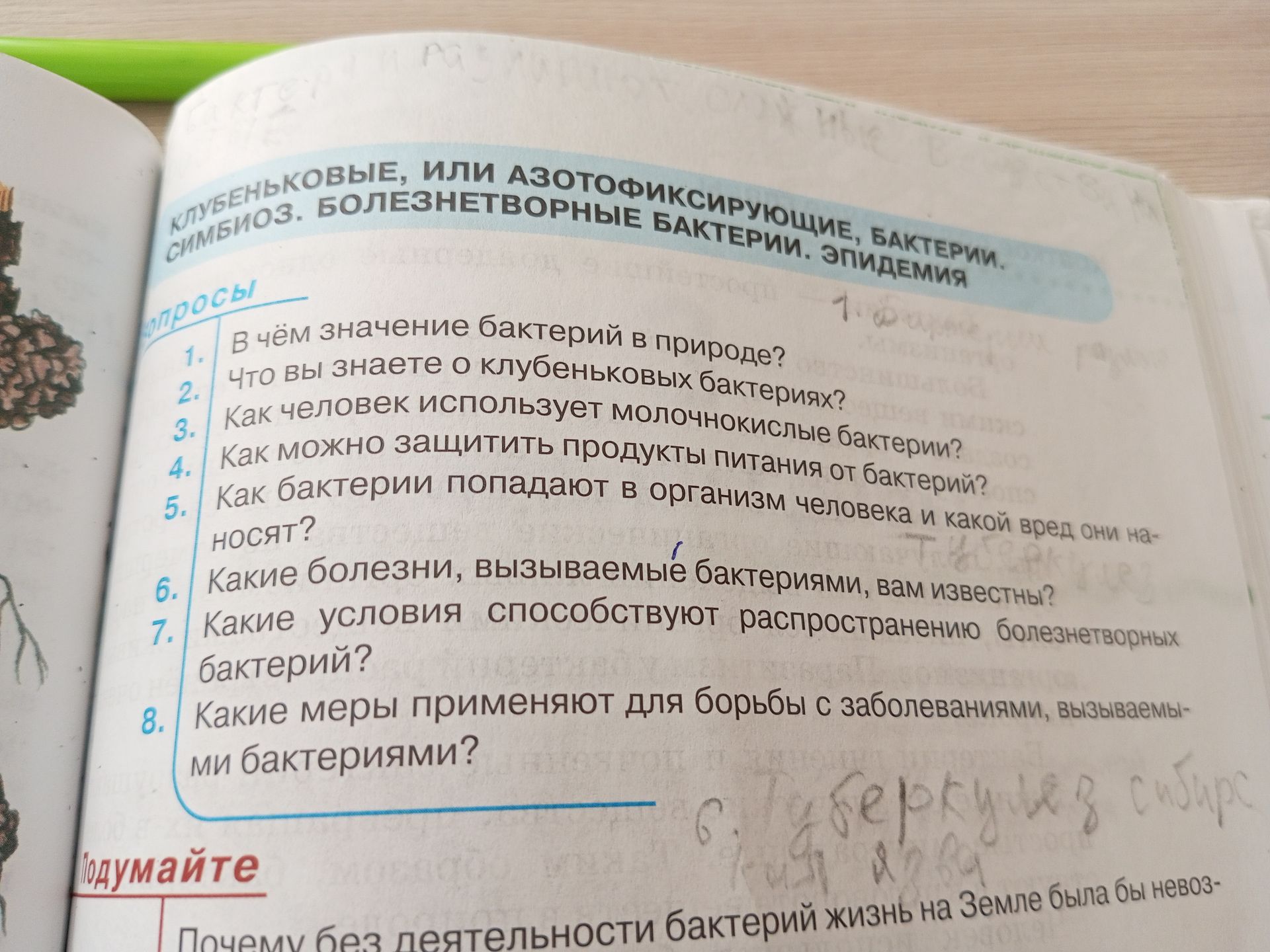 Фото задания: В чём значение бактерий в природе?