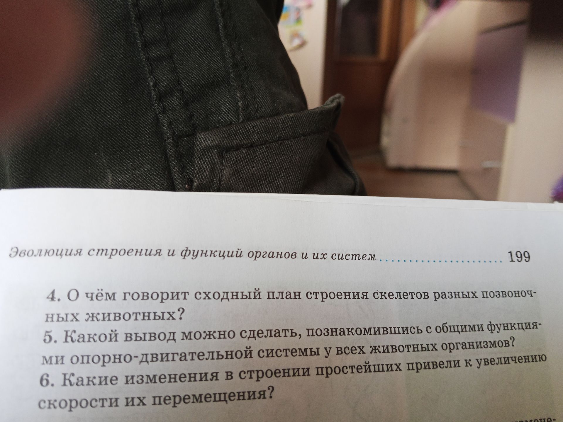 Фото задания: 6. Какие изменения в строении простейших привели к увеличению скорости их перемещения?