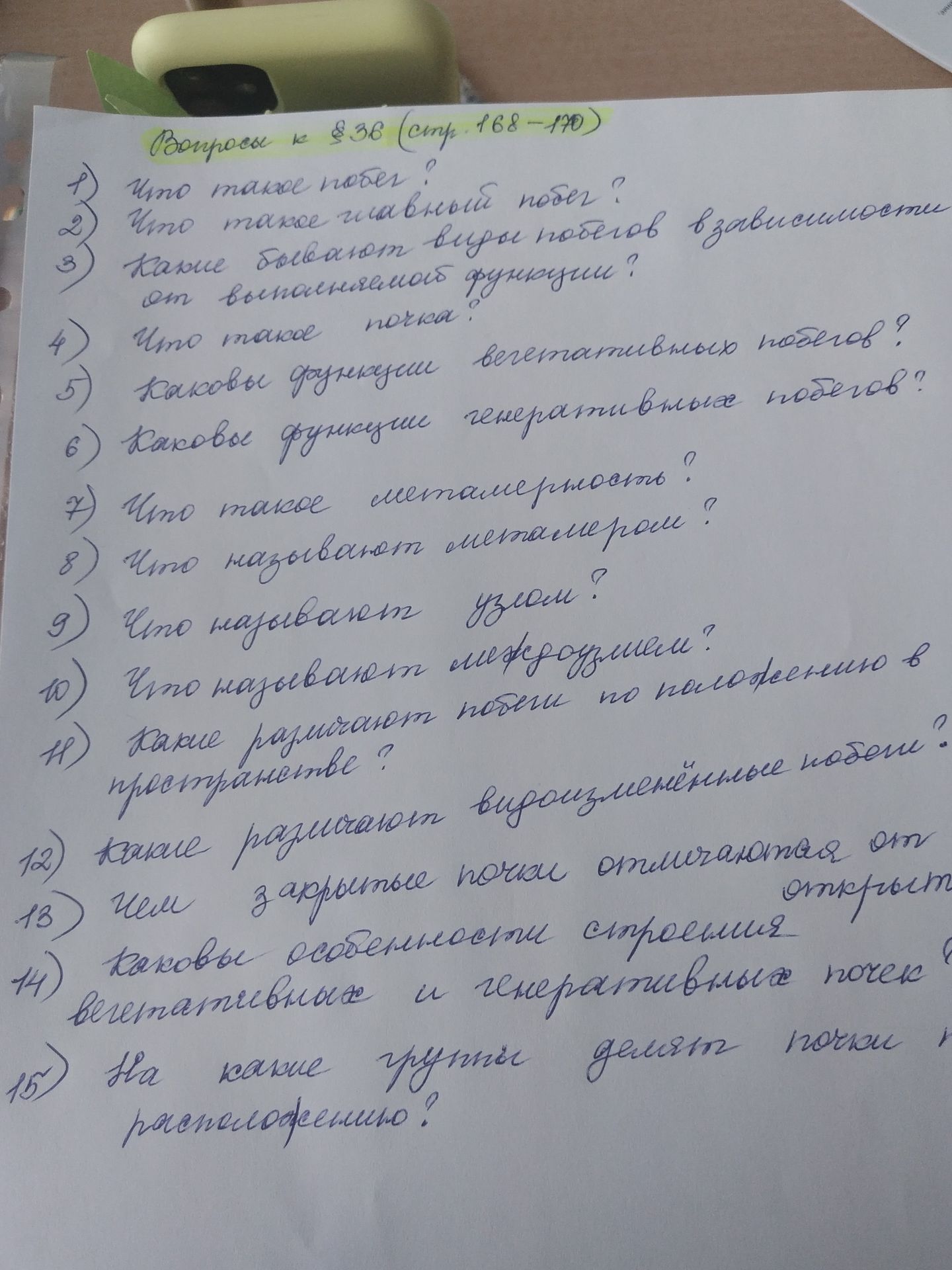 Фото задания: Что такое почка?