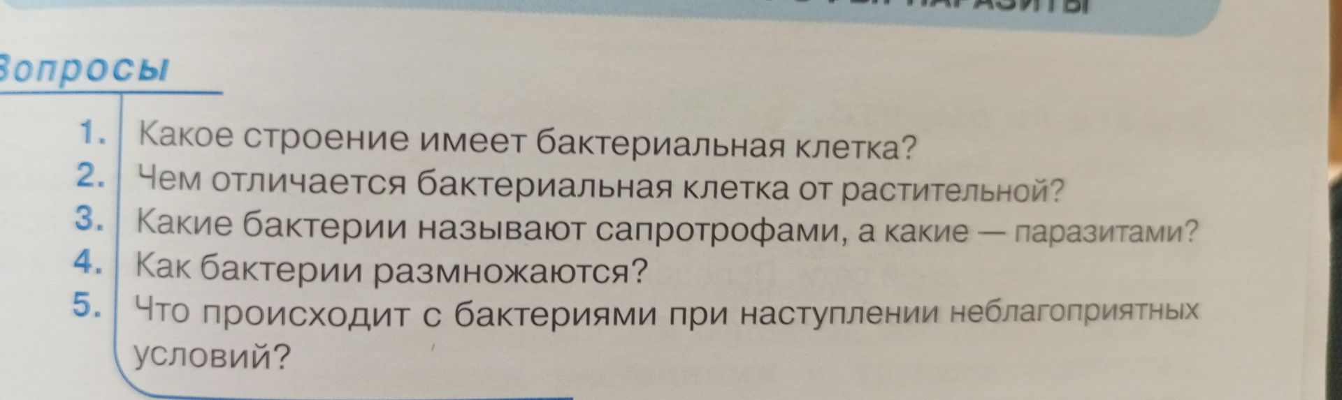 Фото задания: Какое строение имеет бактериальная клетка?
