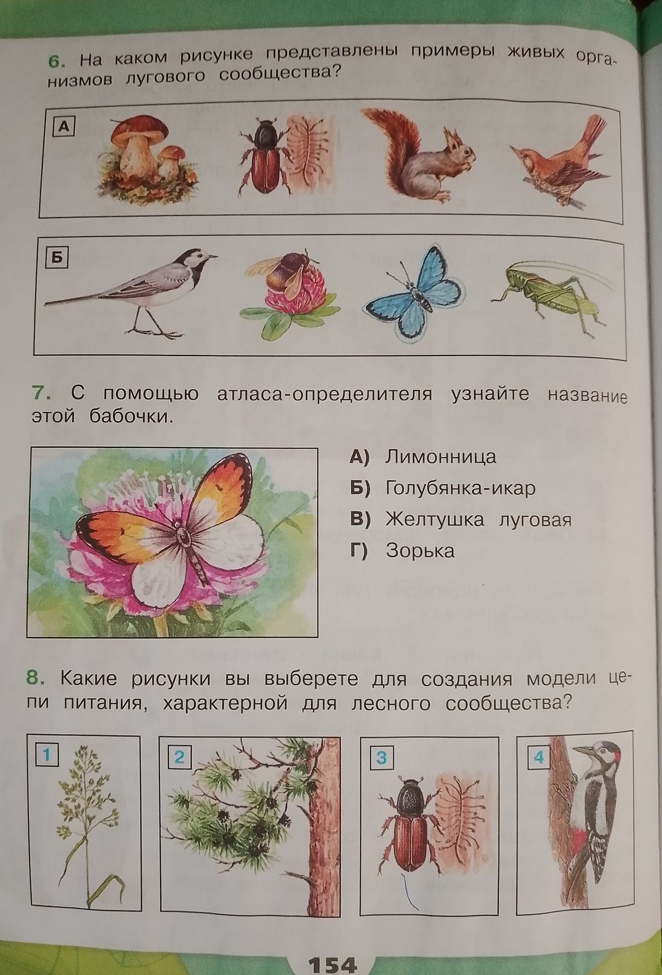 Фото задания: 8. Какие рисунки вы выберете для создания модели цепи питания, характерной для лесного сообщества?