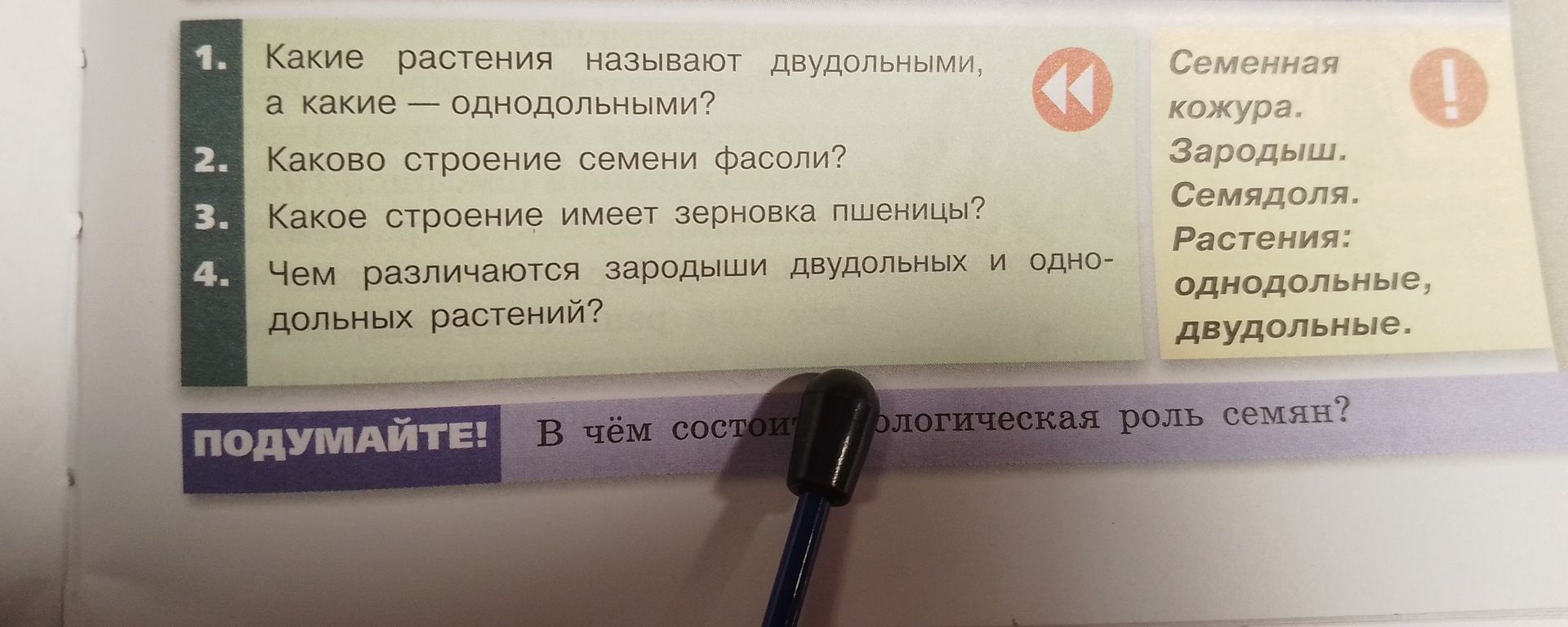Фото задания: 3. Какое строение имеет зерновка пшеницы?