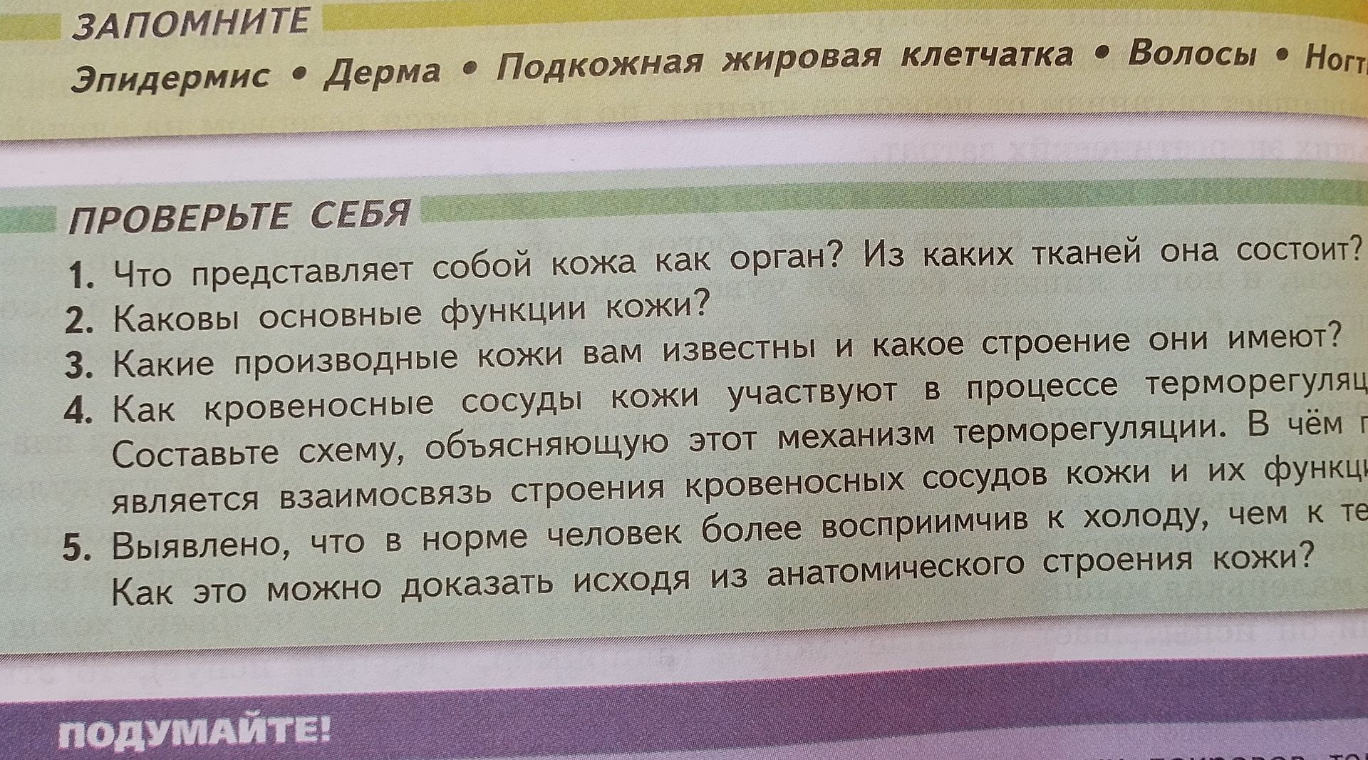Фото задания: 2. Каковы основные функции кожи?