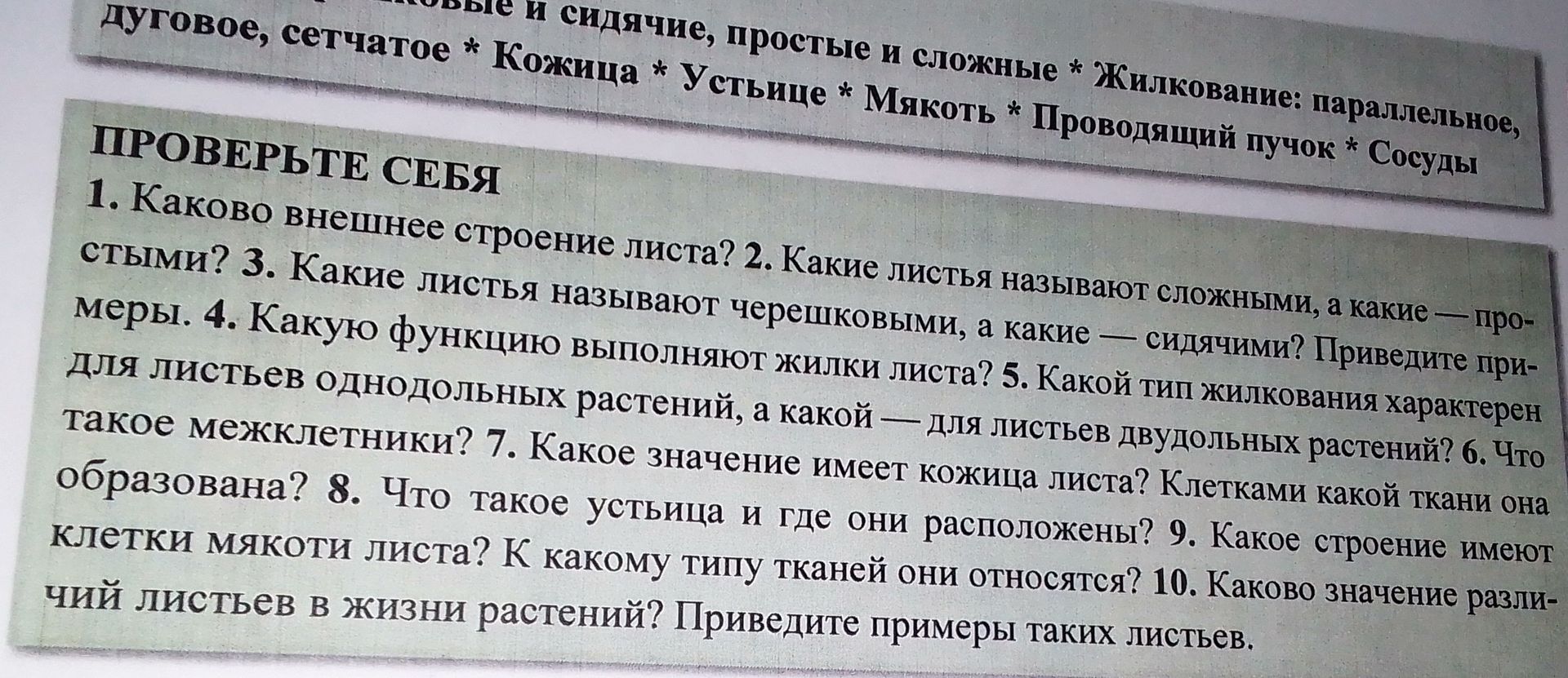 Фото задания: 6. Что такое межклетники?