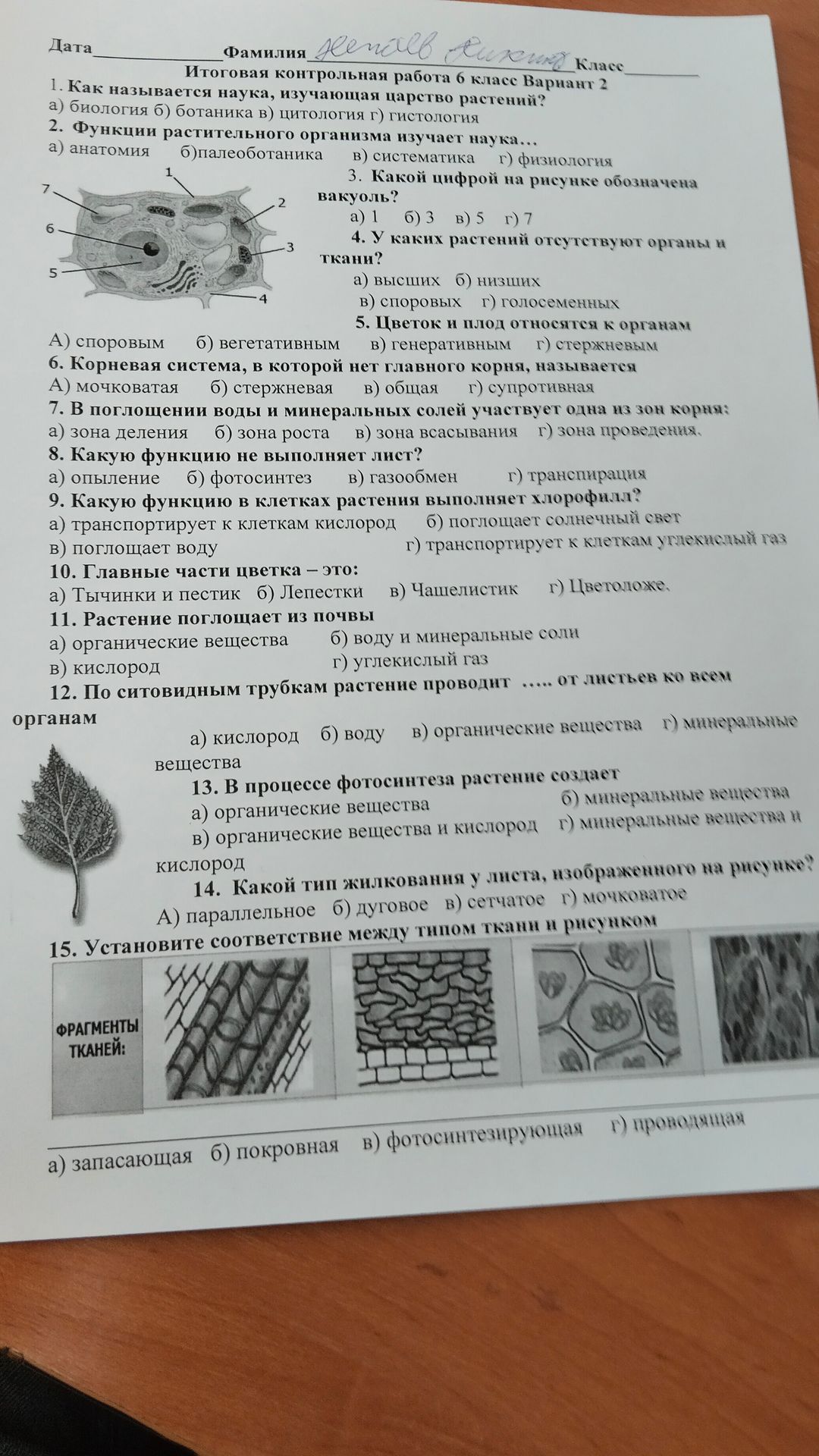 Фото задания: 3. Какой цифрой на рисунке обозначена вакуоль?