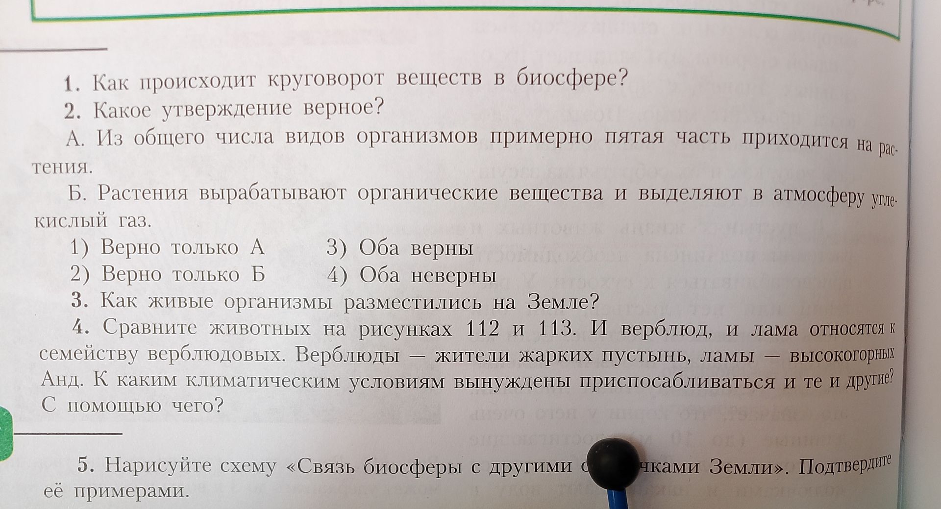 Фото задания: 4. Сравните животных на рисунках 112 и 113. И верблюд, и лама относятся к семейству верблюдовых. Верблюды – жители жарких…