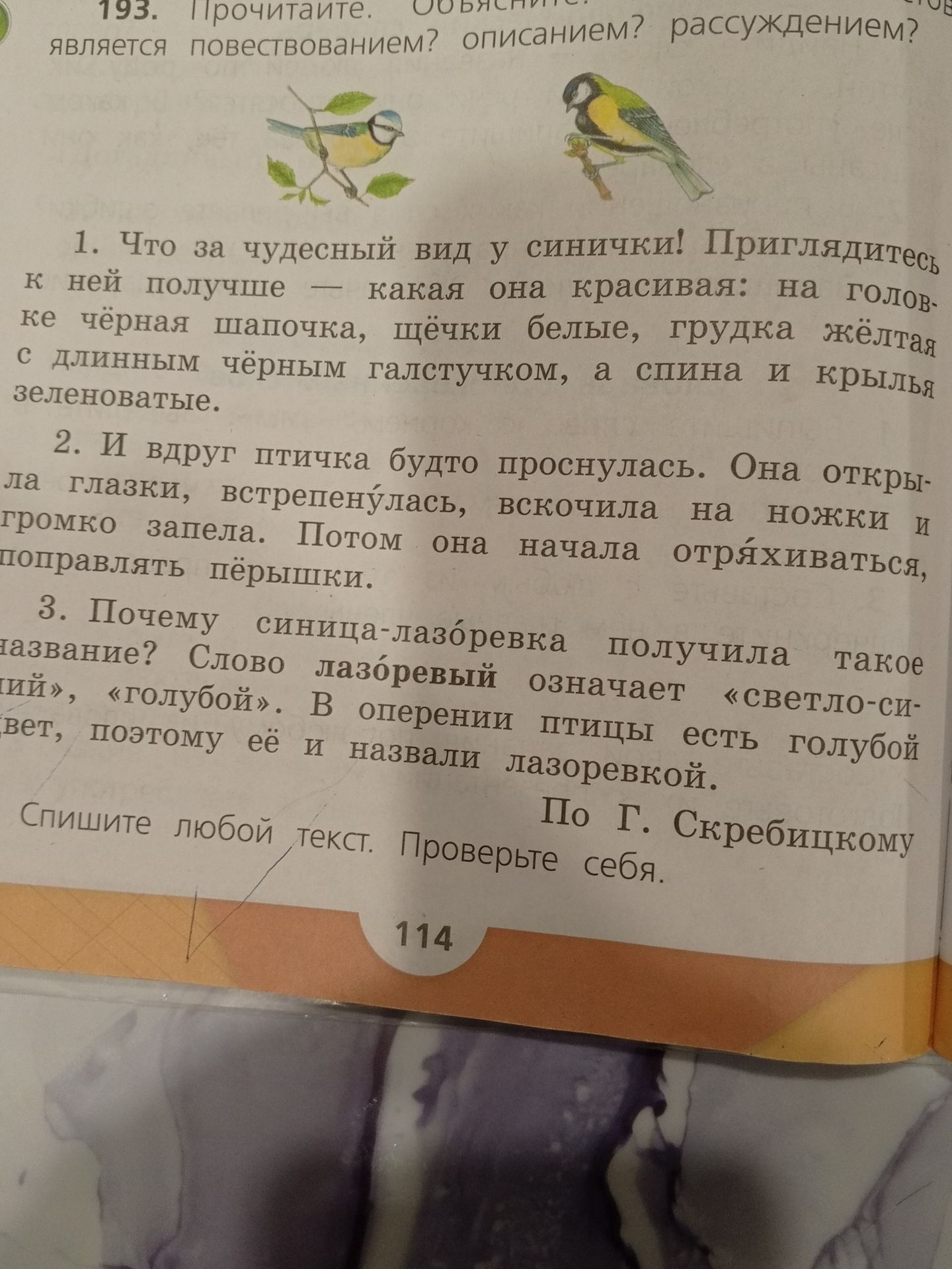 Фото задания: 3. Почему синица-лазоревка получила такое название? Слово лазоревый означает «светло-синий», «голубой». В оперении птицы есть…