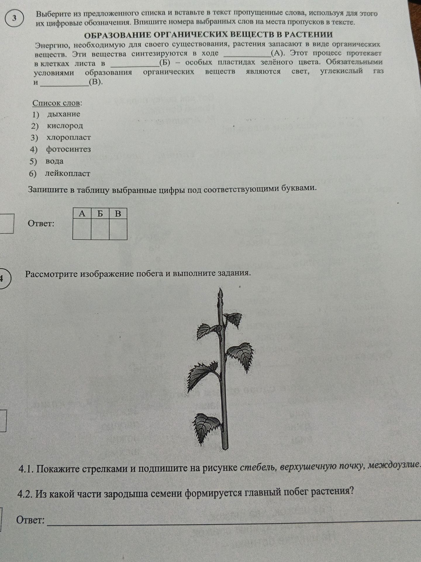 Фото задания