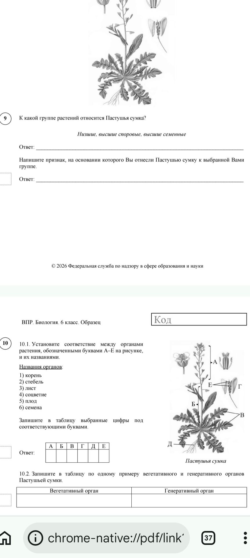 Фото задания