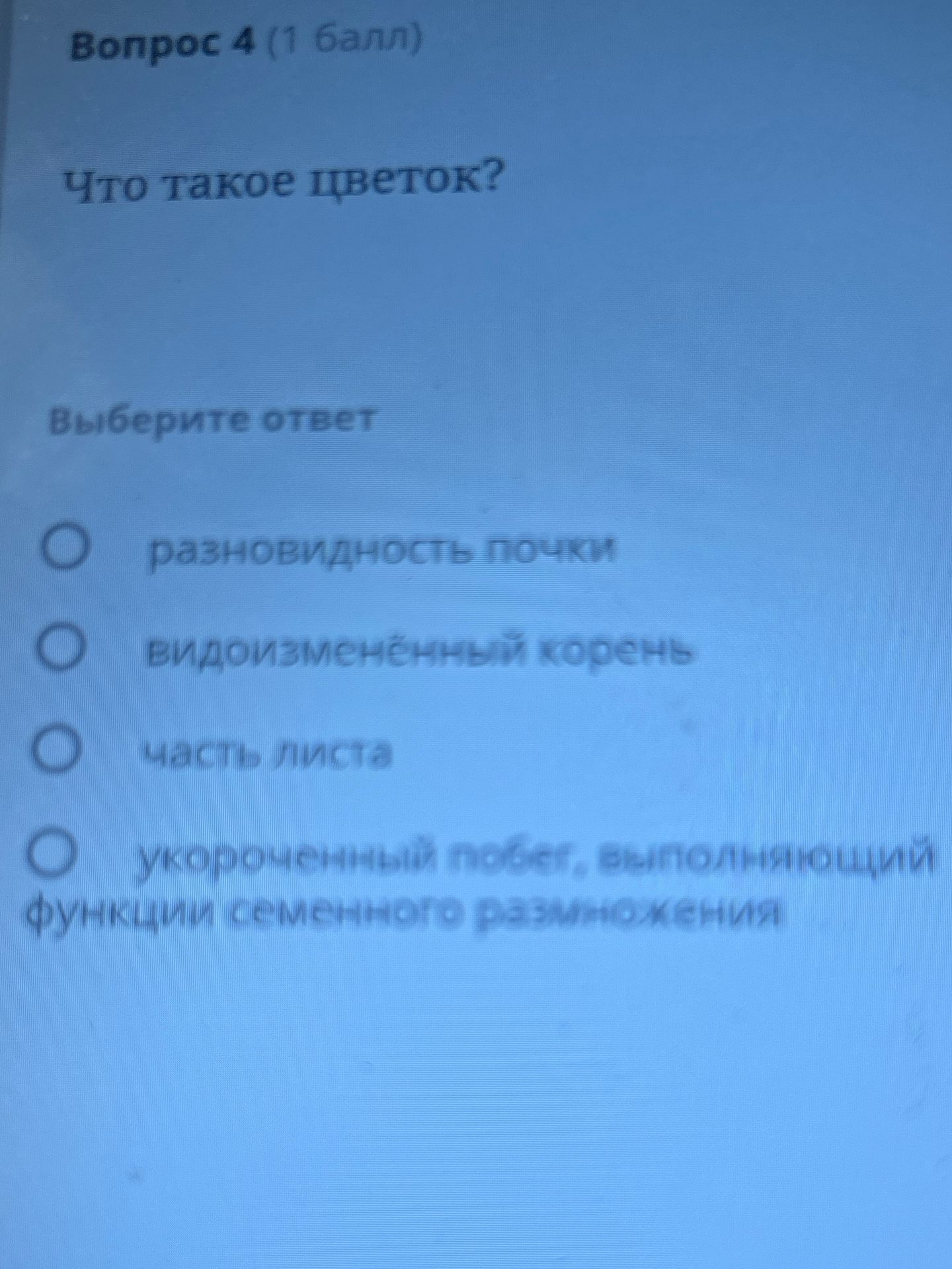 Фото задания: Что такое цветок?