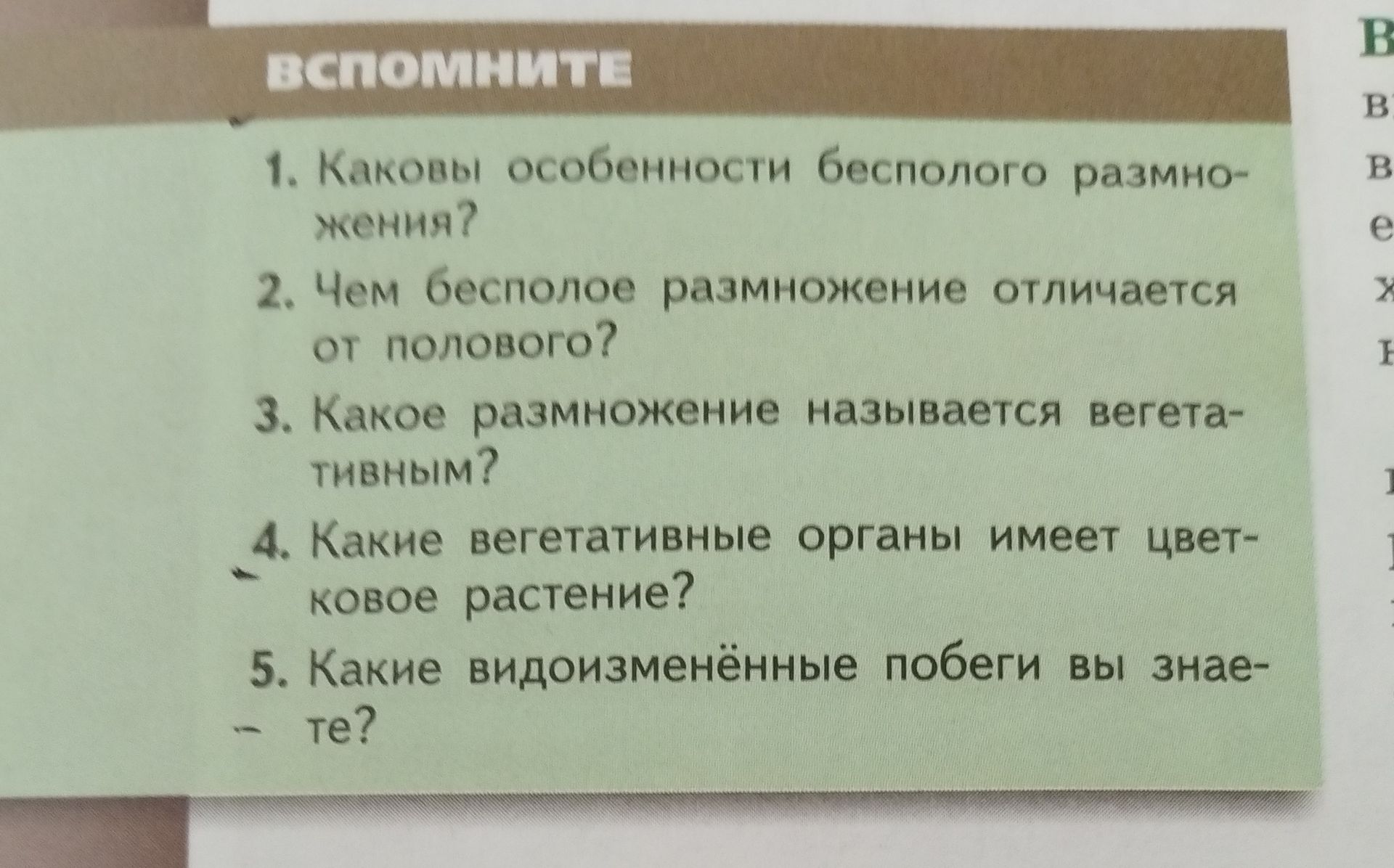Фото задания: Какое размножение называется вегетативным?