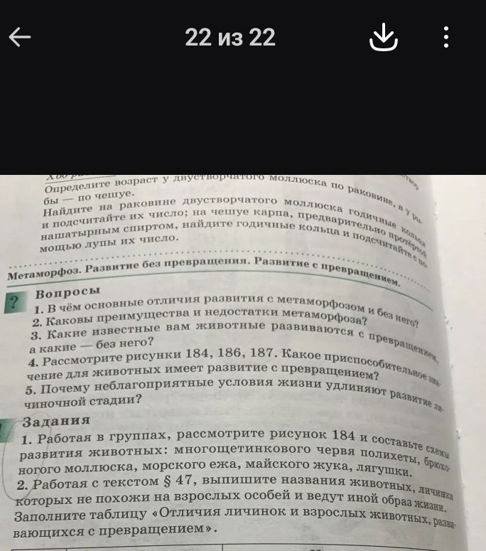 Фото задания: Каковы преимущества и недостатки метаморфоза?