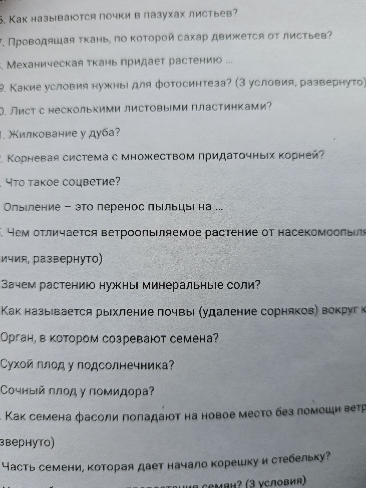 Фото задания: Что такое соцветие?
