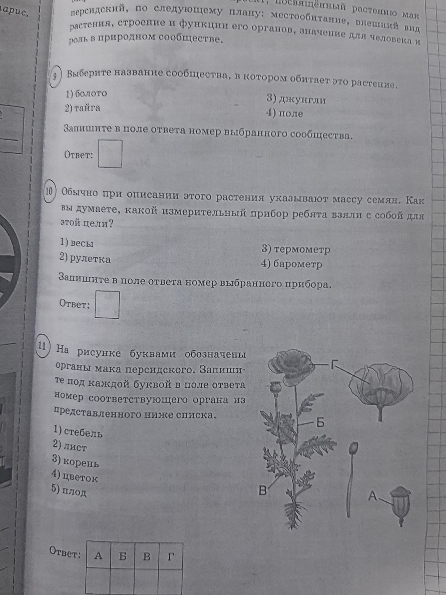 Фото задания: На рисунке буквами обозначены органы мака персидского. Запишите под каждой буквой в поле ответа номер соответствующего органа…