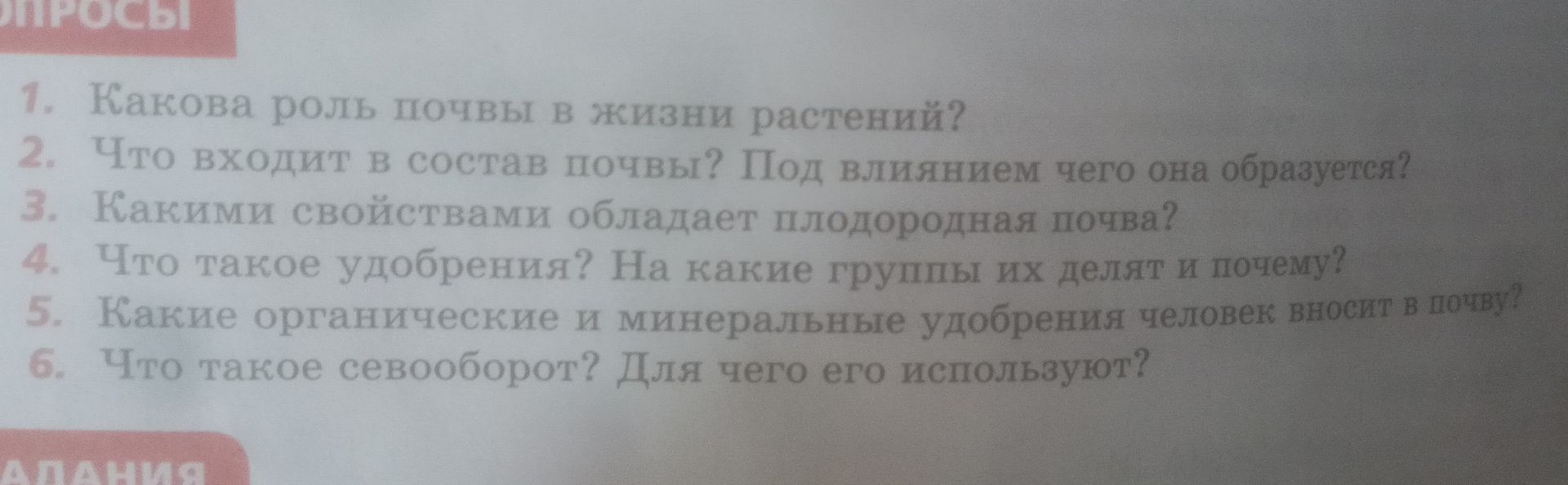 Фото задания: Какова роль почвы в жизни растений?