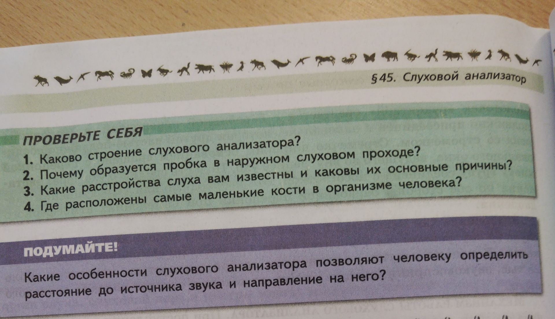 Фото задания: Каково строение слухового анализатора?