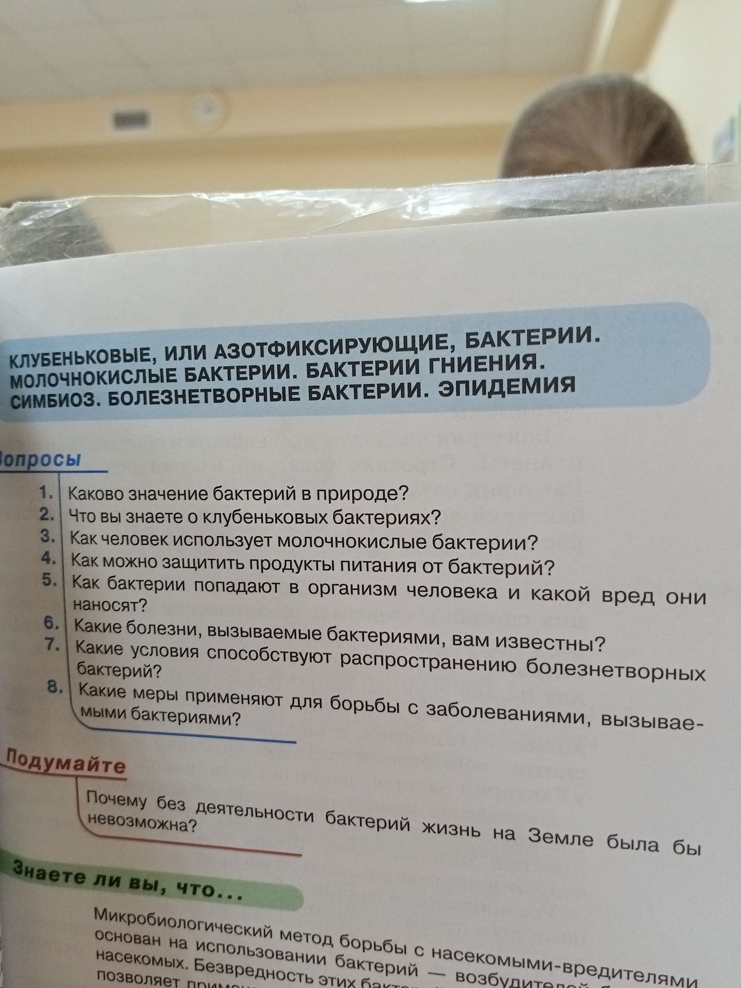 Фото задания: Как человек использует молочнокислые бактерии?