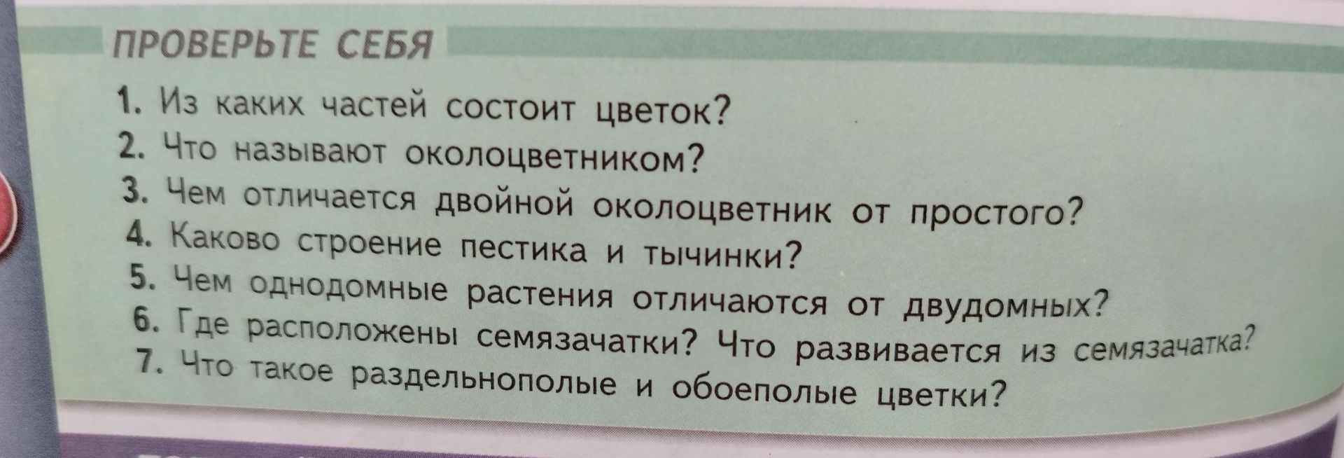 Фото задания: Каково строение пестика и тычинки?
