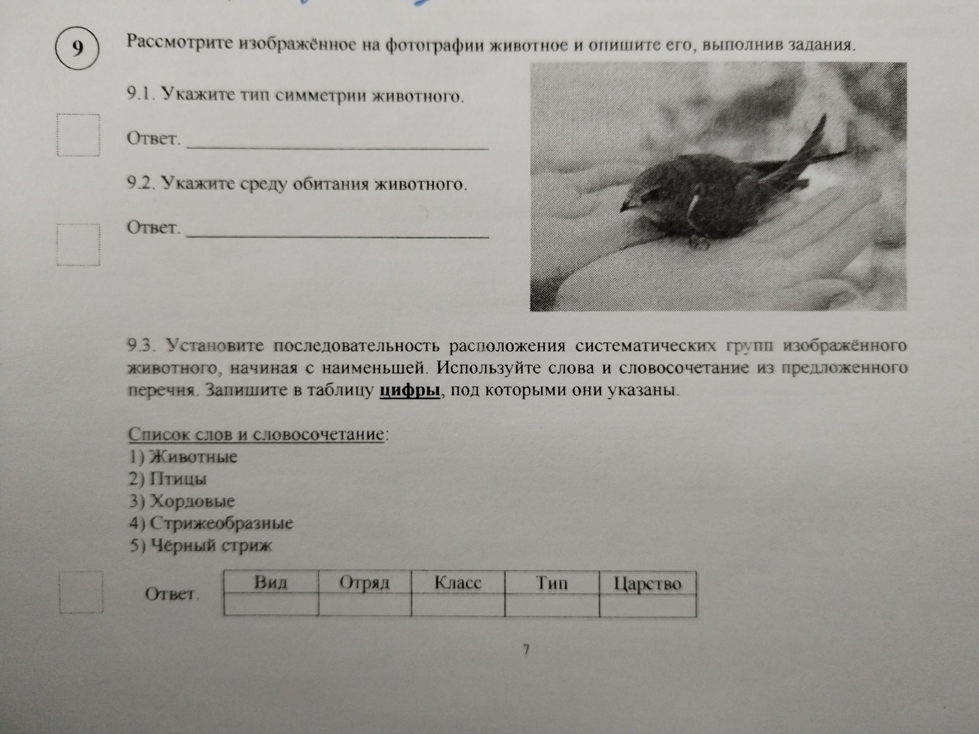 Фото задания