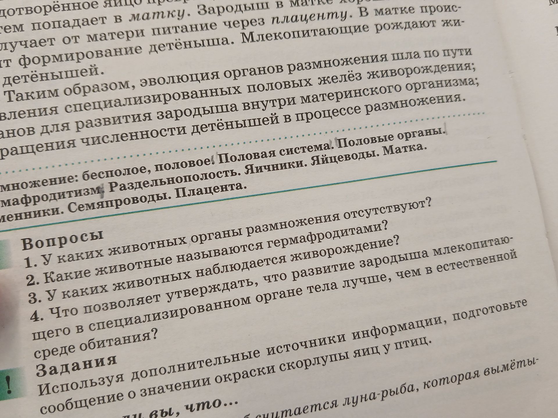 Фото задания: Какие животные называются гермафродитами?