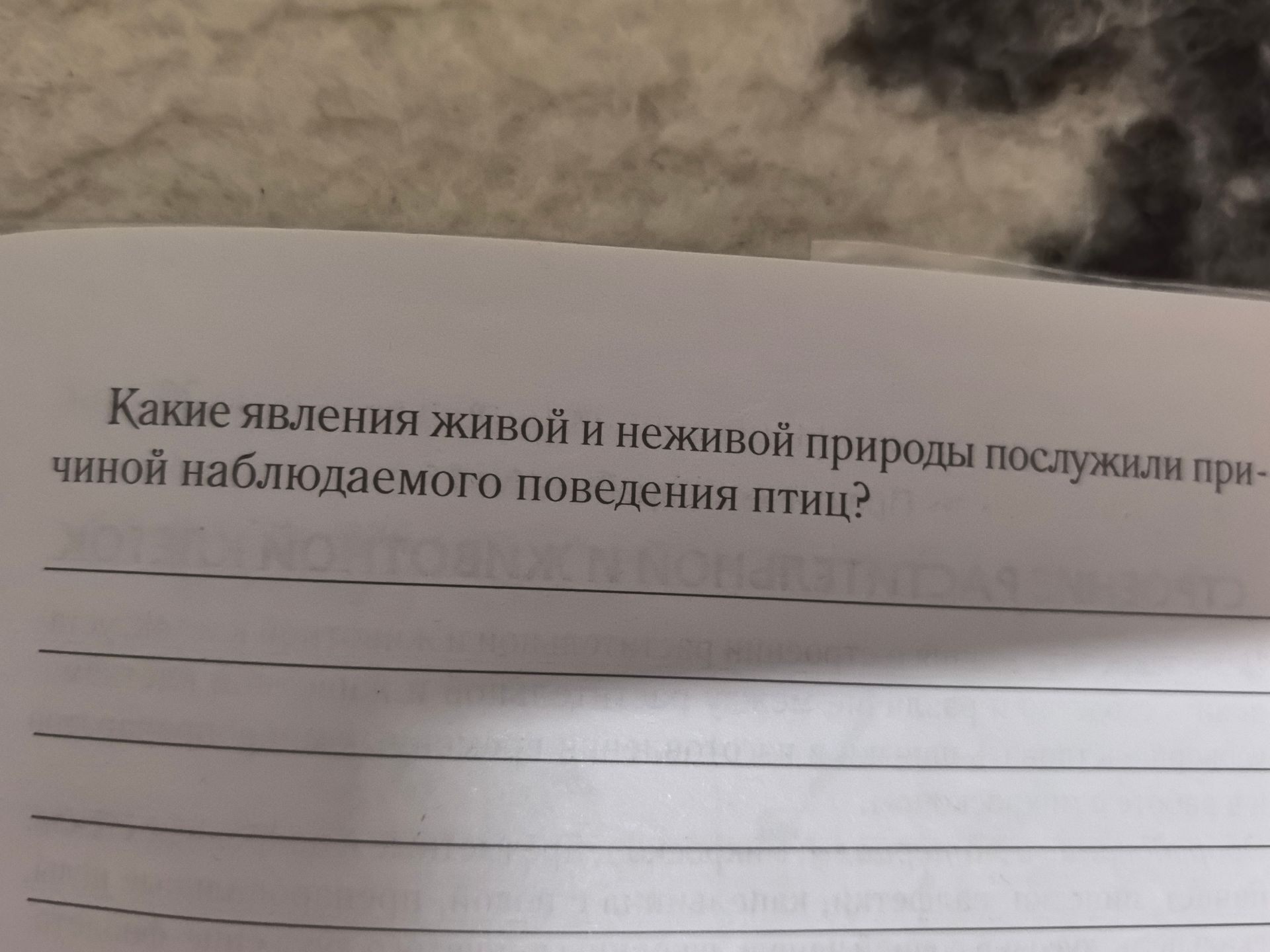 Фото задания: Какие явления живой и неживой природы послужили причиной наблюдаемого поведения птиц?