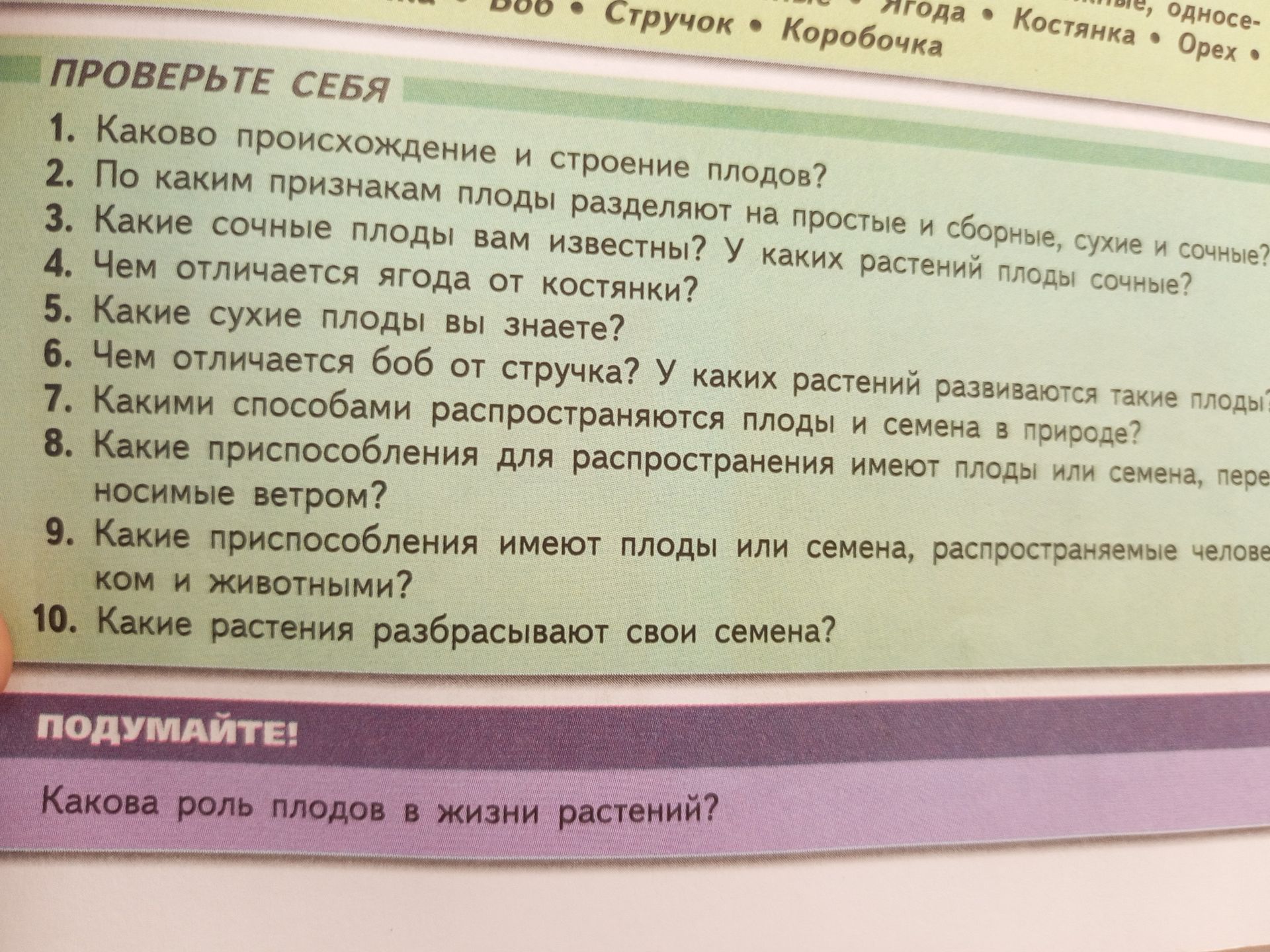 Фото задания: Какова роль плодов в жизни растений?