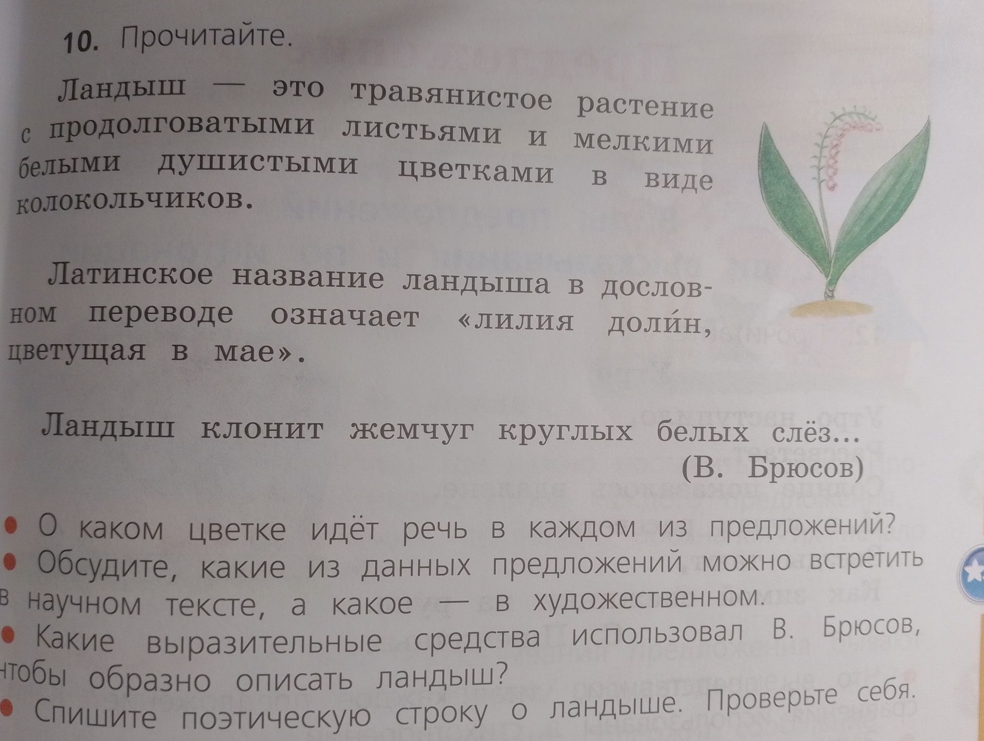Фото задания: 10. Прочитайте. Ландыш — это травянистое растение с продолговатыми листьями и мелкими белыми душистыми цветками в виде…