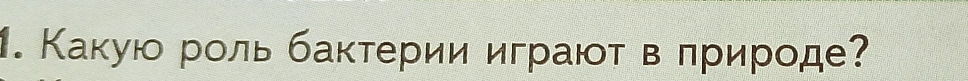 Фото задания: Какую роль бактерии играют в природе?